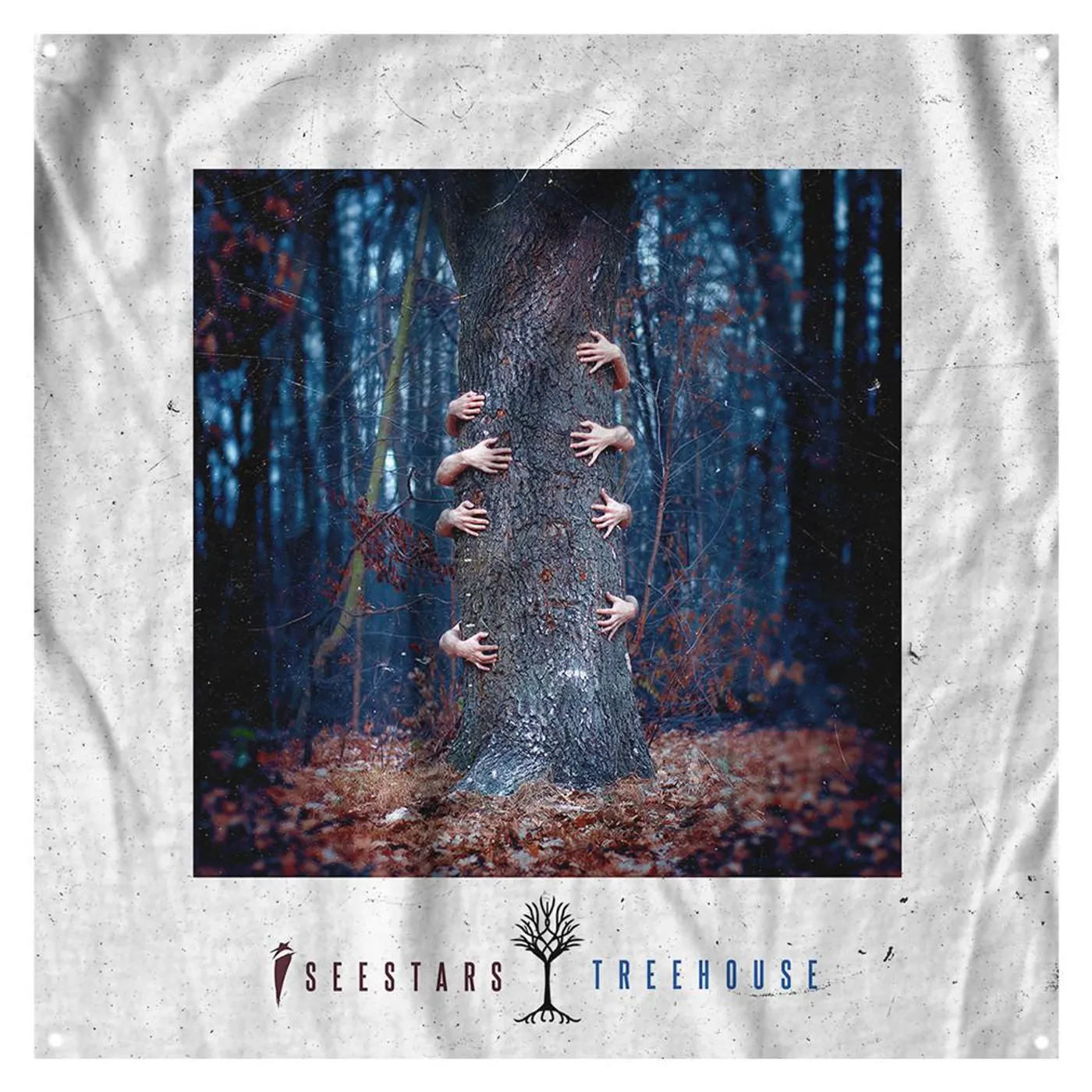I See Stars - Wall