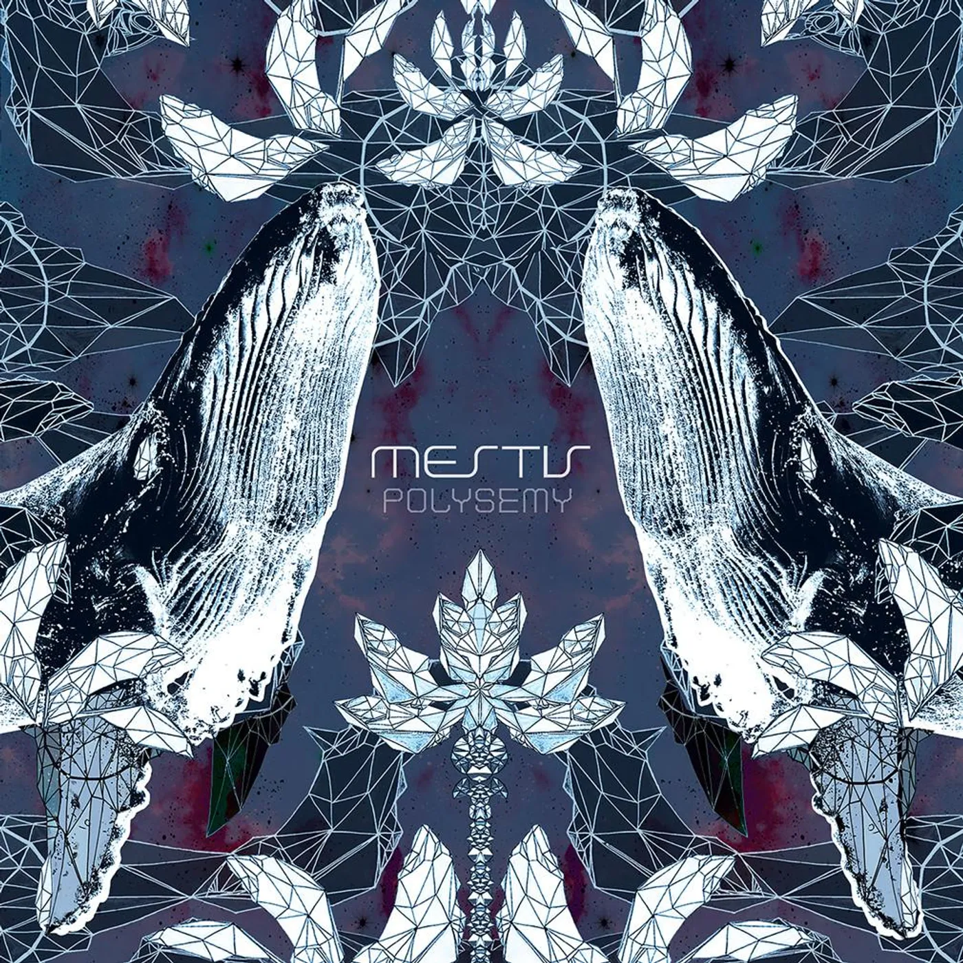 Mestís - 'Polysemy' CD
