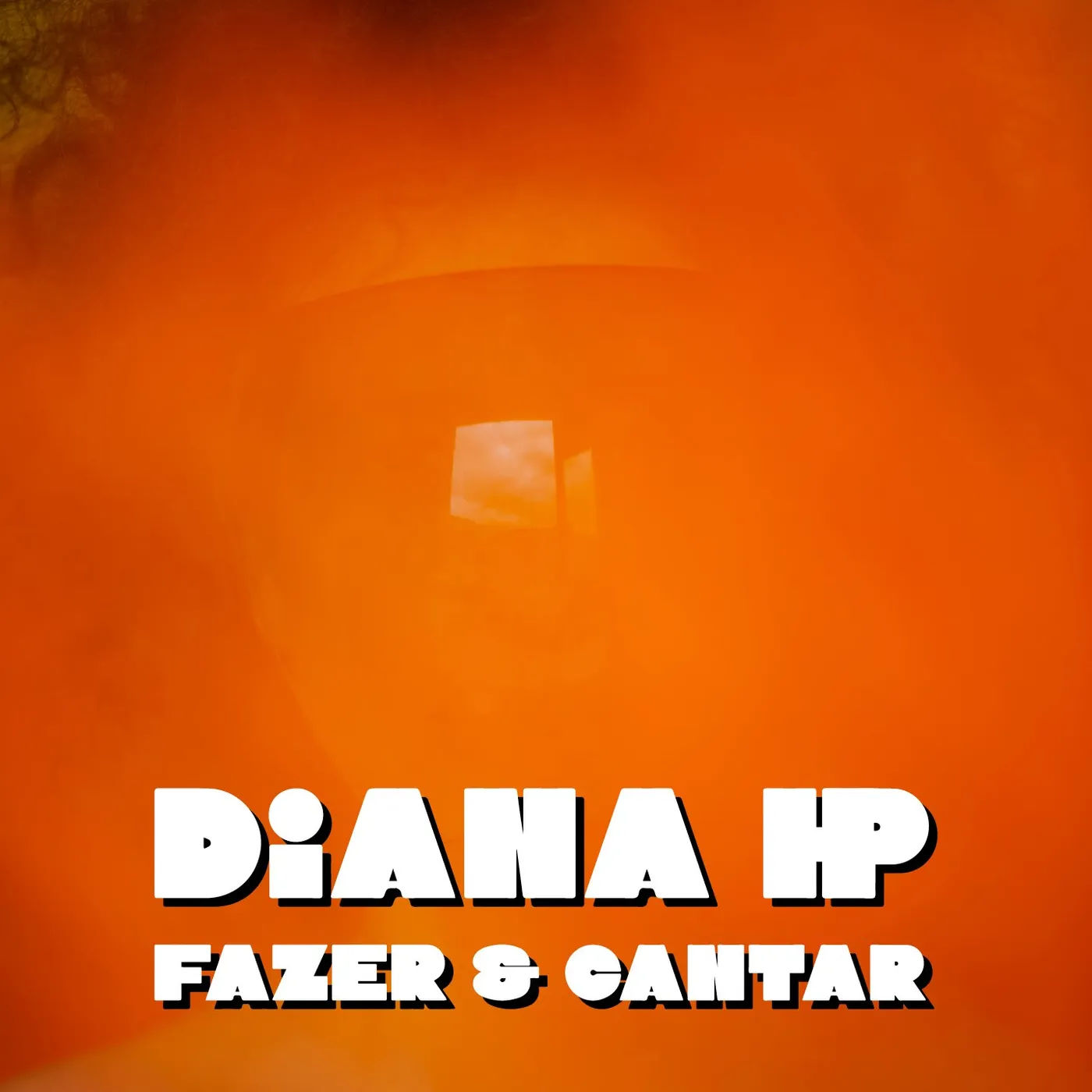 Diana HP : Fazer E Cantar - 45 T