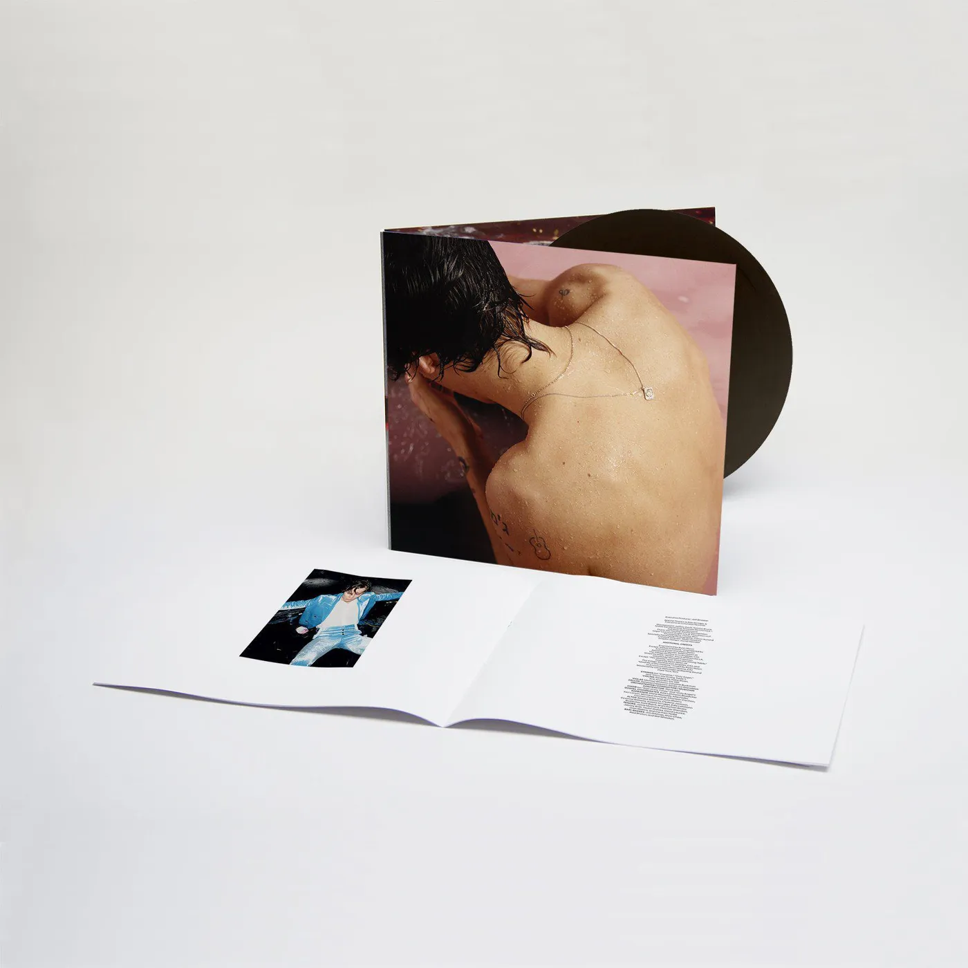 Harry Styles Standard Vinyl