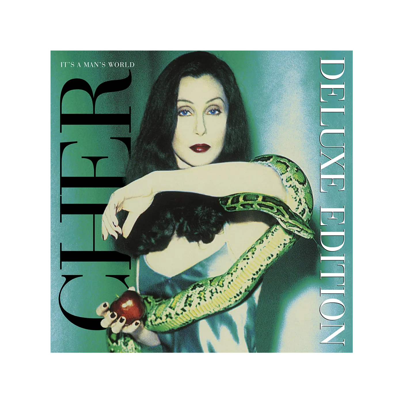 Cher IT'S A MAN'S WORLD (DELUXE EDITION)  DIGITAL ALBUM