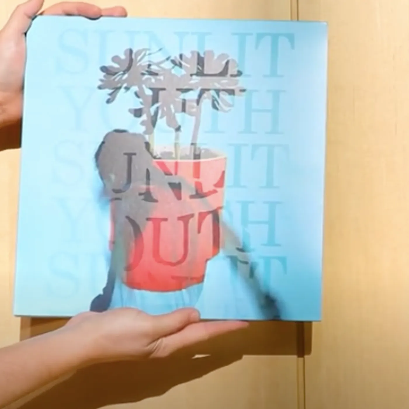 Local Natives SUNLIT YOUTH VINYL