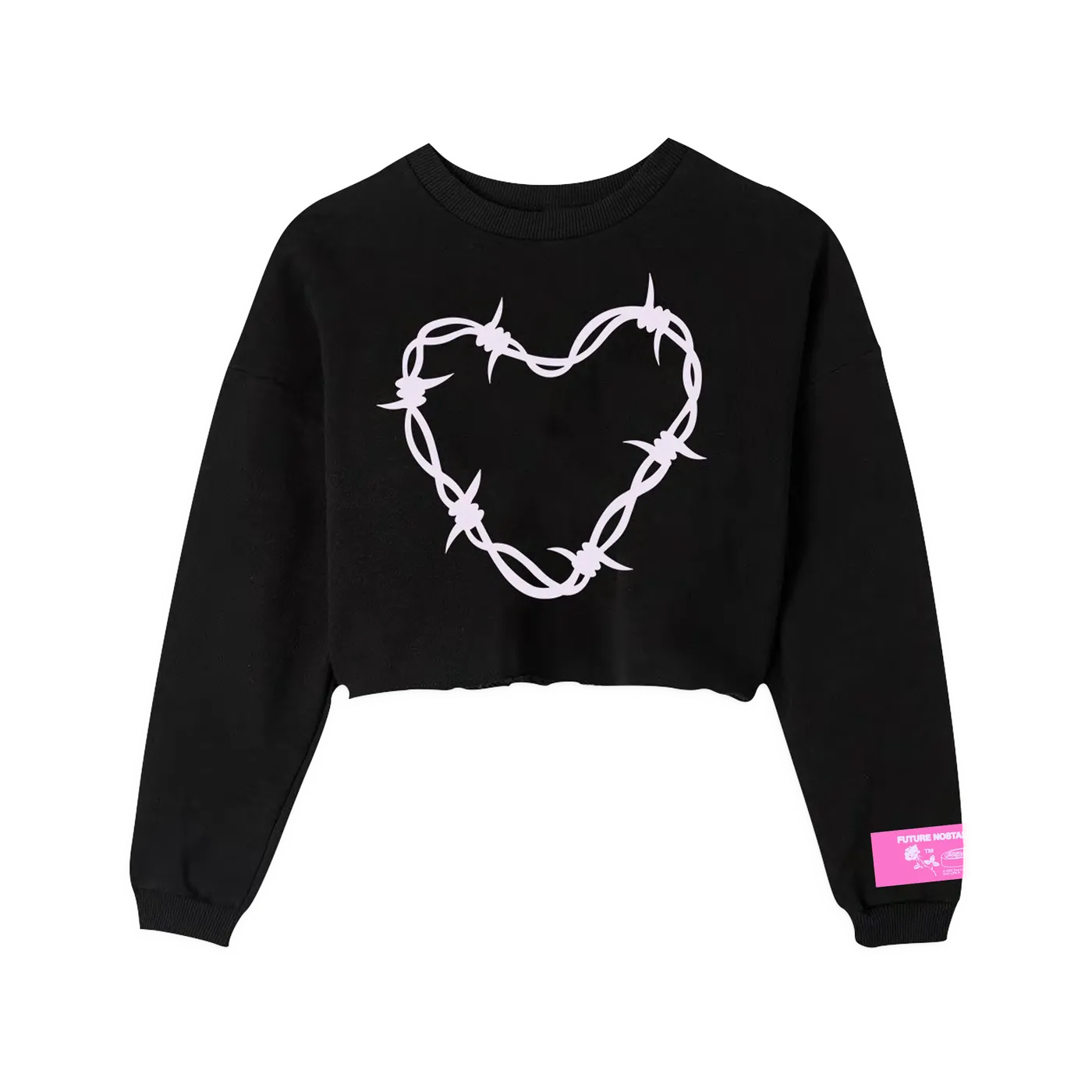 Dua Lipa Barbwire Heart Crop Sweatshirt