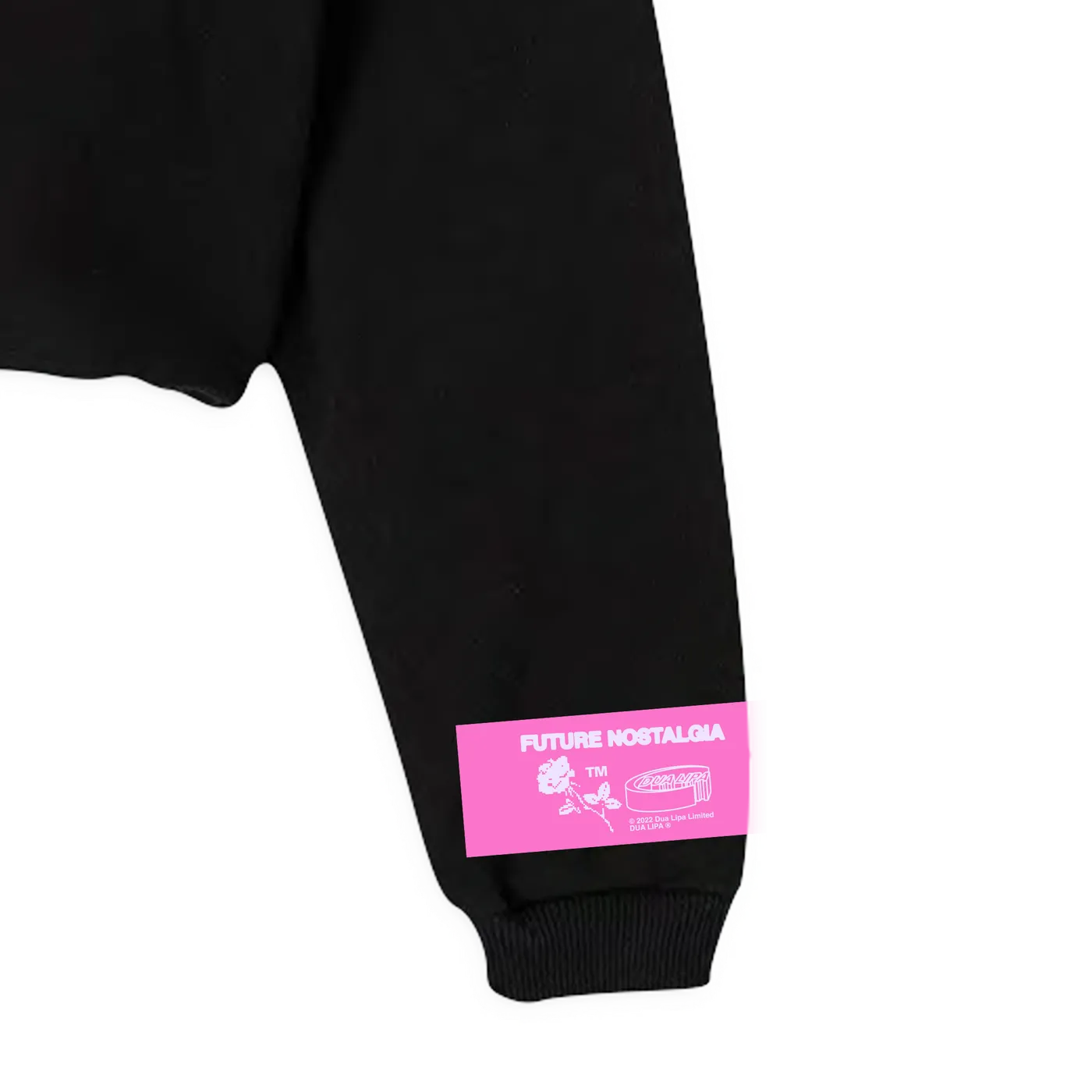 Dua Lipa Barbwire Heart Crop Sweatshirt