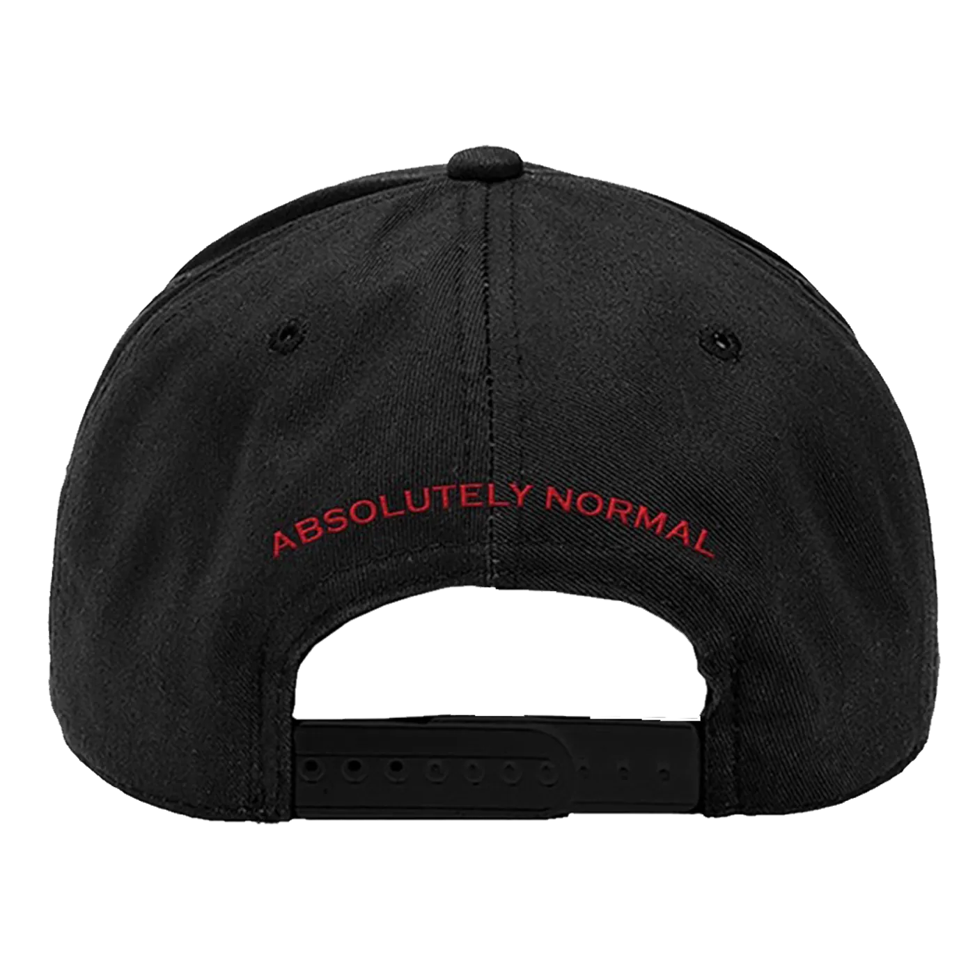Steely Dan '21 Hat