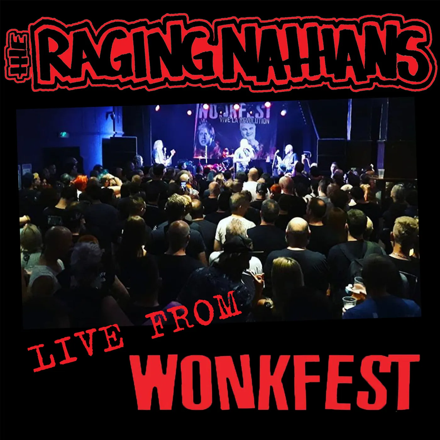 The Raging Nathans Live From Wonkfest Vinyl Record