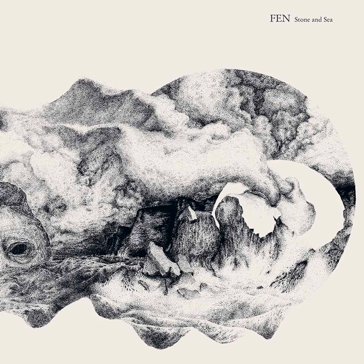 Fen Stone and Sea Vinyl Record