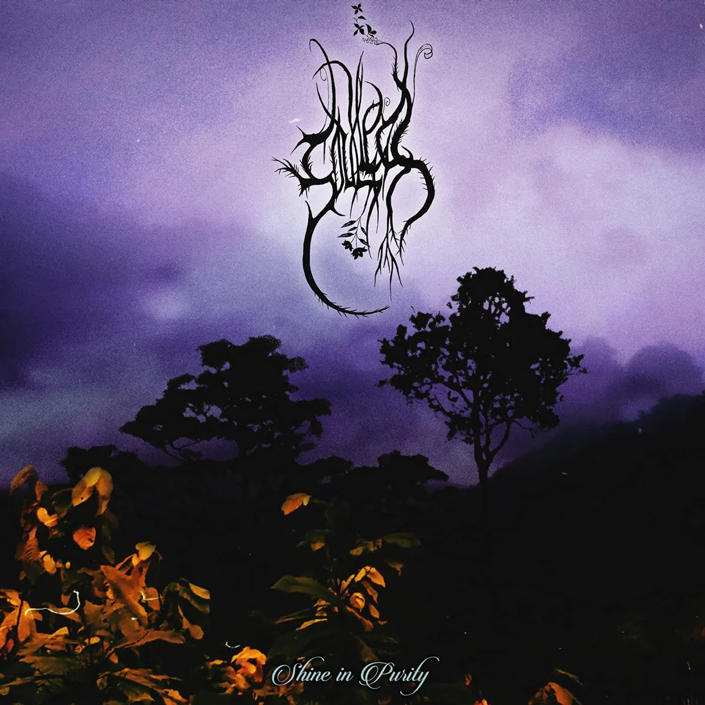 Soulless SHINE IN PURITY CD