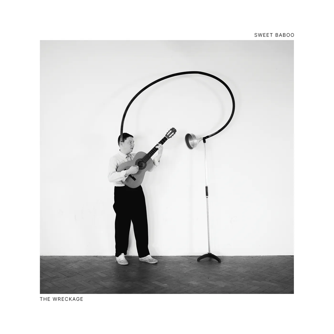 Sweet Baboo   The Wreckage CD