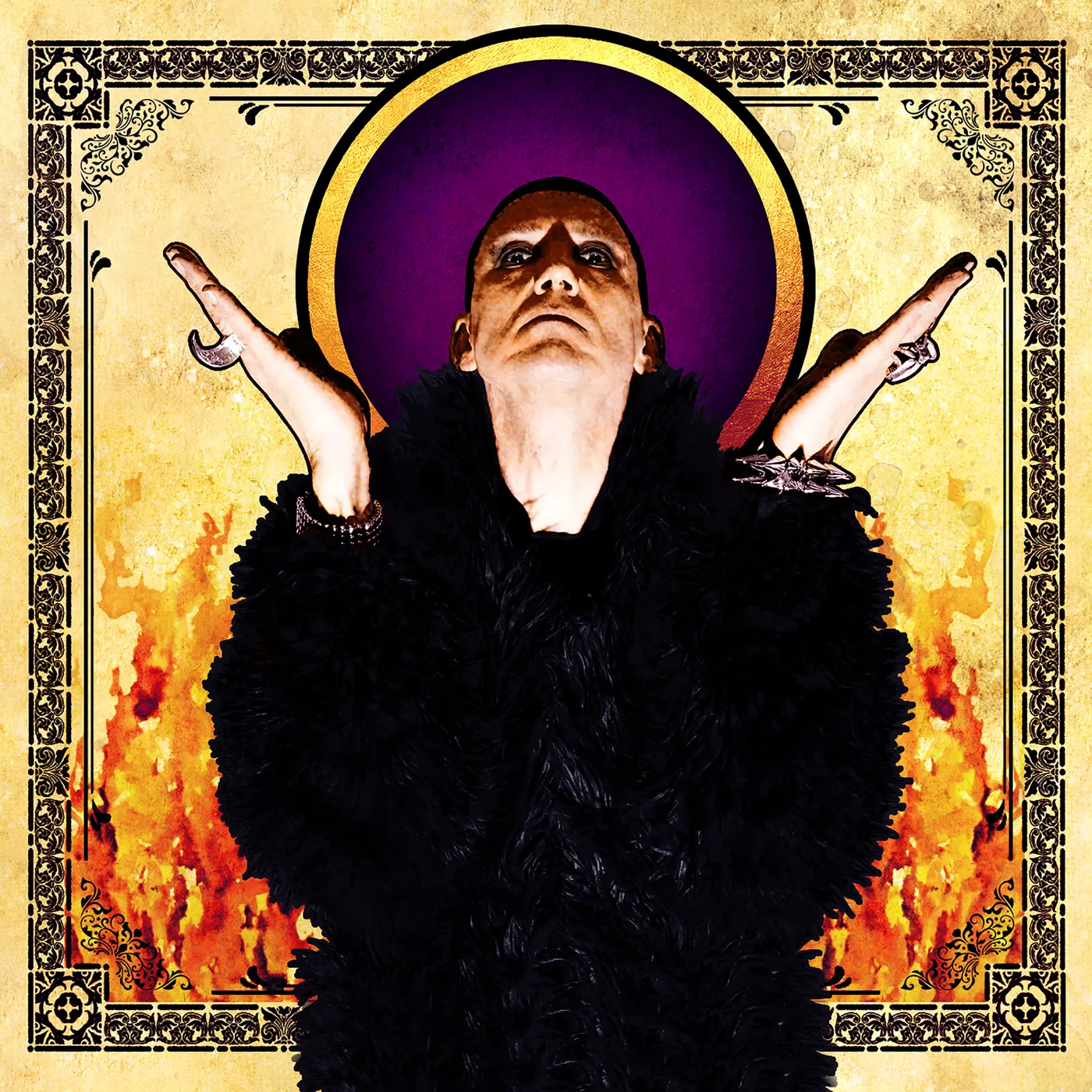 PIG Stripped & Ripped CD