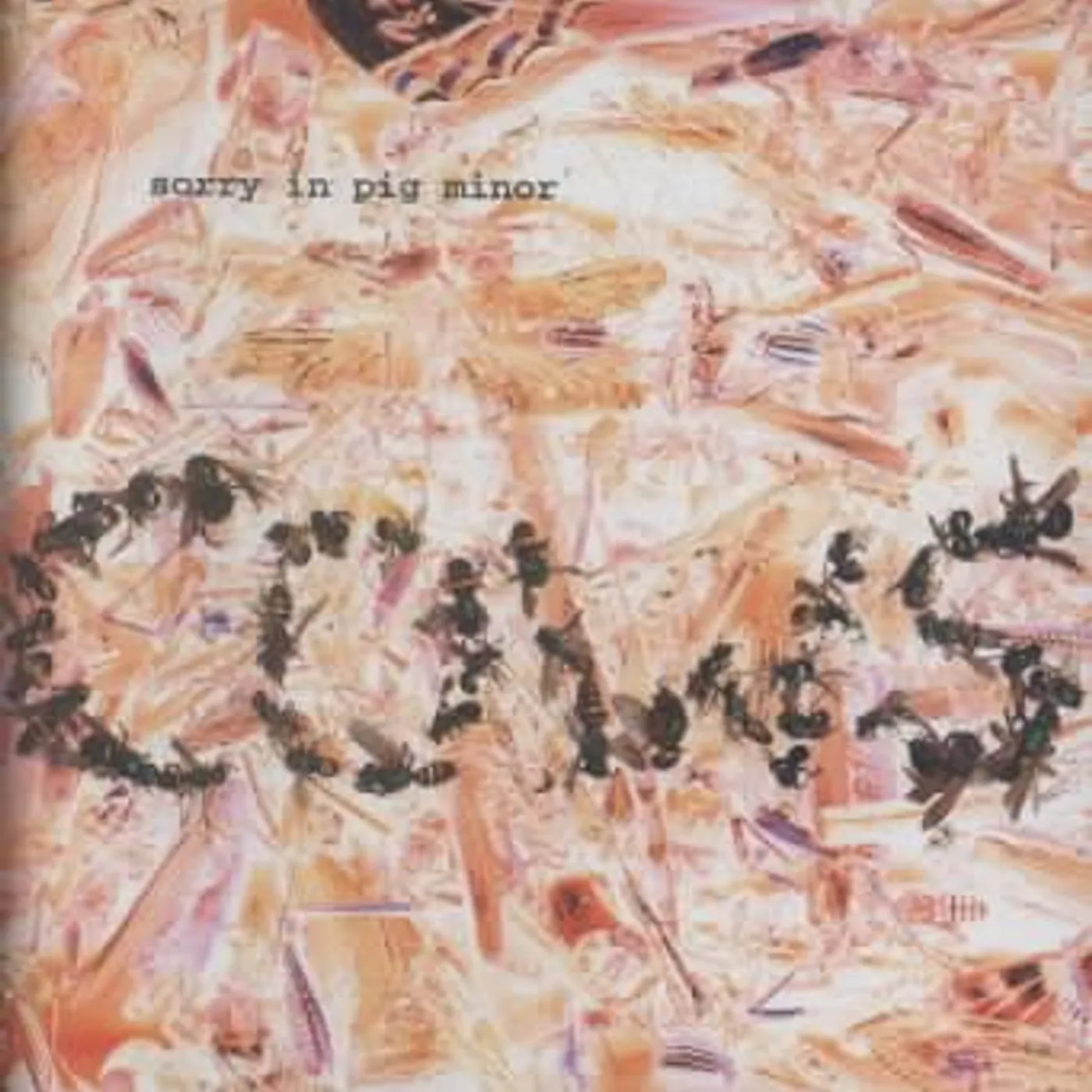 Cows Sorry in Pig Minor CD