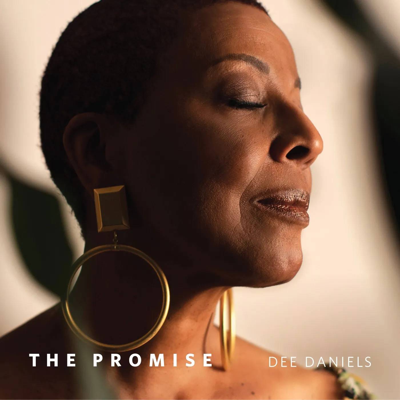 Dee Daniels PROMISE CD