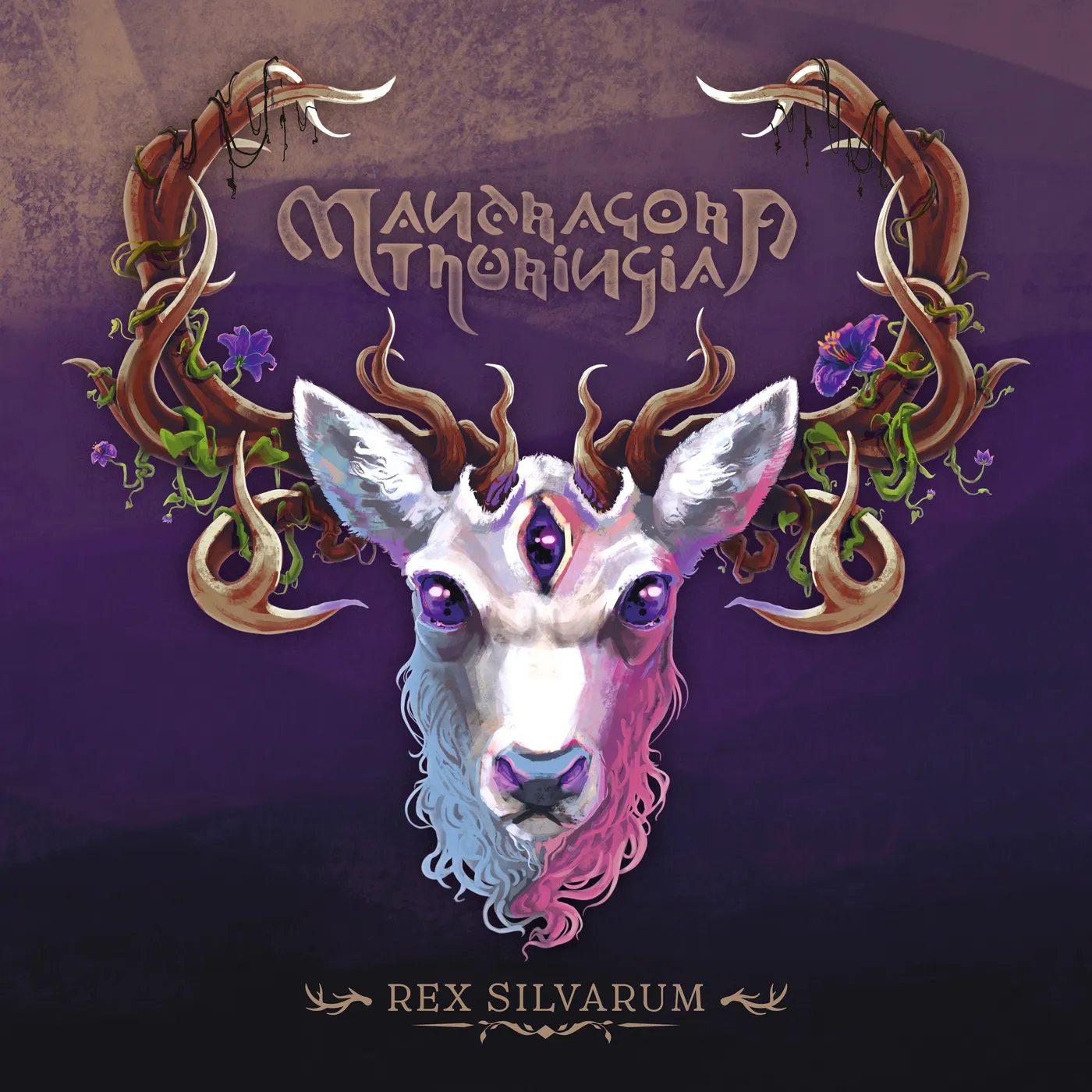 Mandragora Thuringia   Rex Silvarum CD