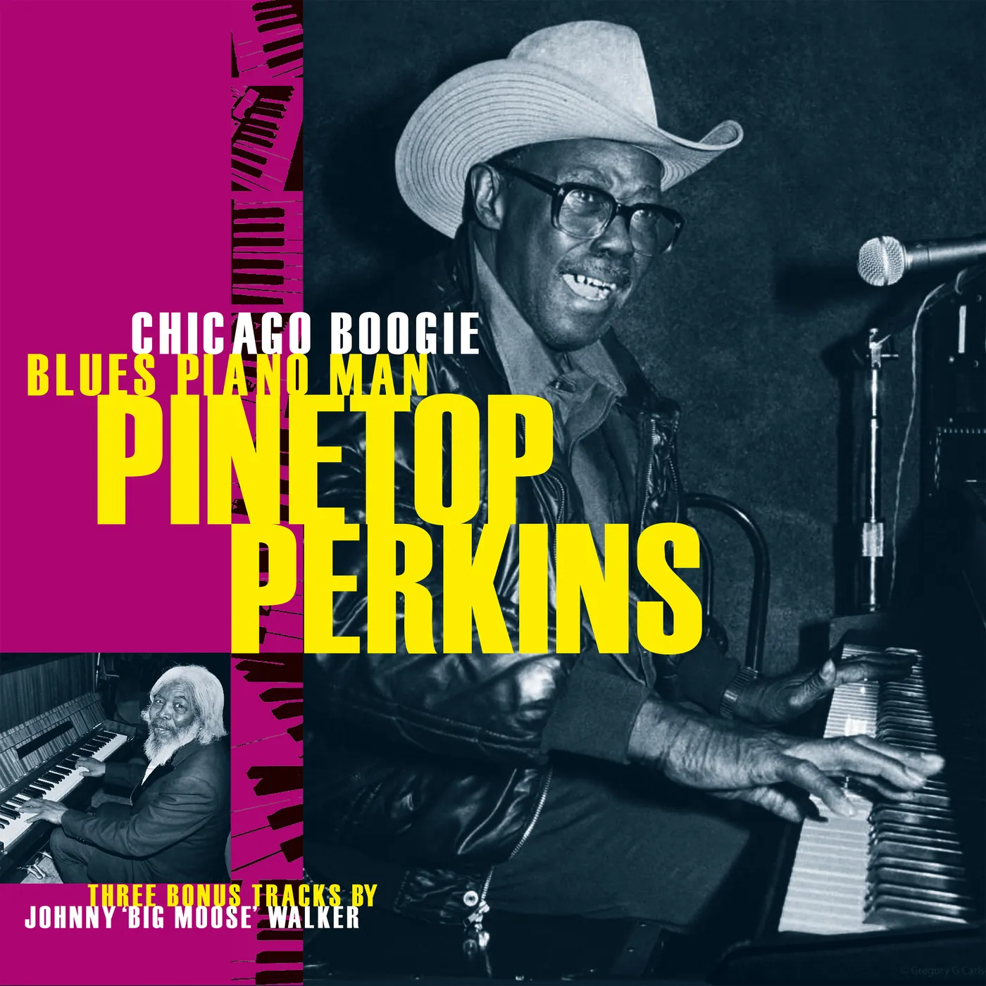 Pinetop Perkins CHICAGO BOOGIE BLUES PIANO MAN CD