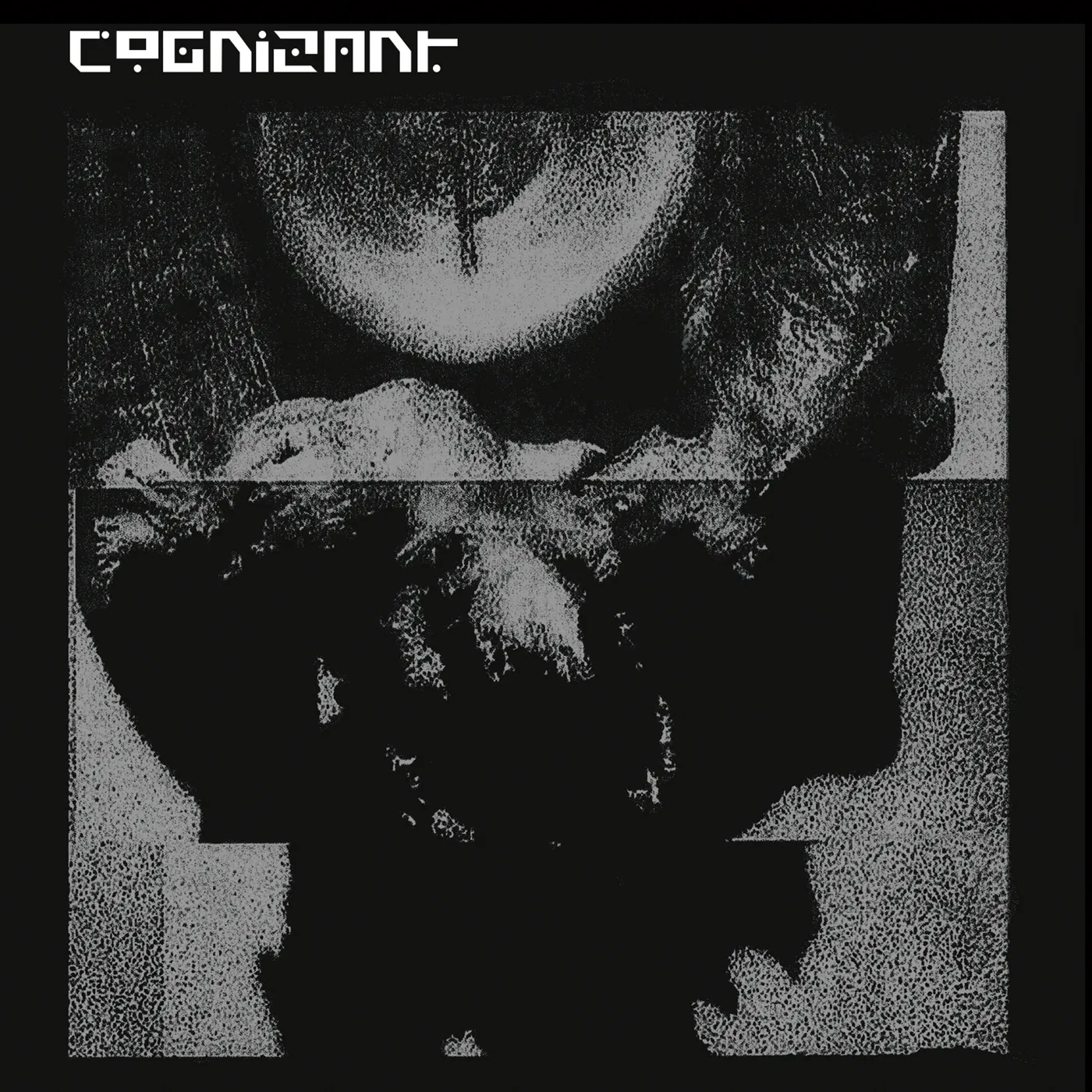Cognizant CD