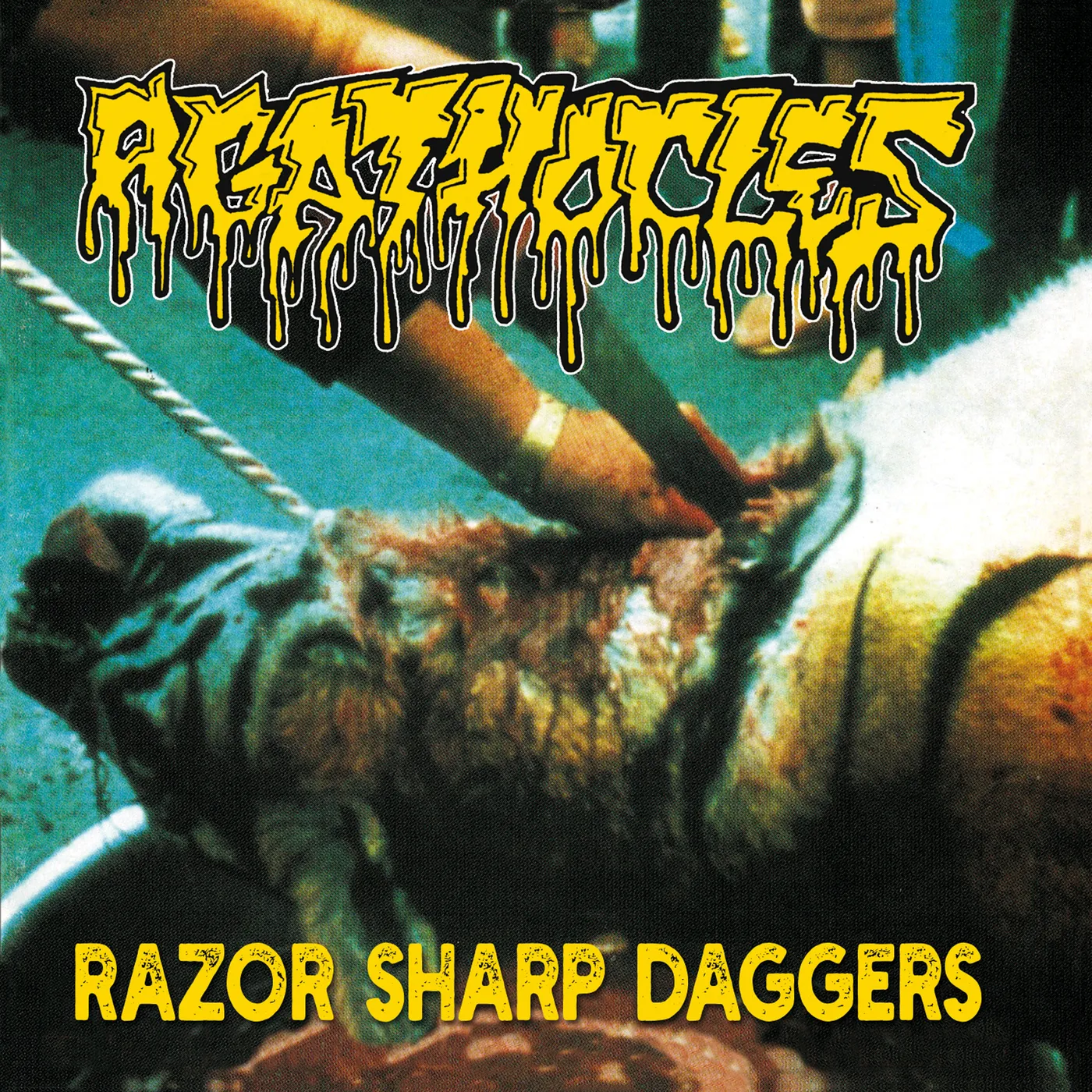 Agathocles   Razor Sharp Daggers CD