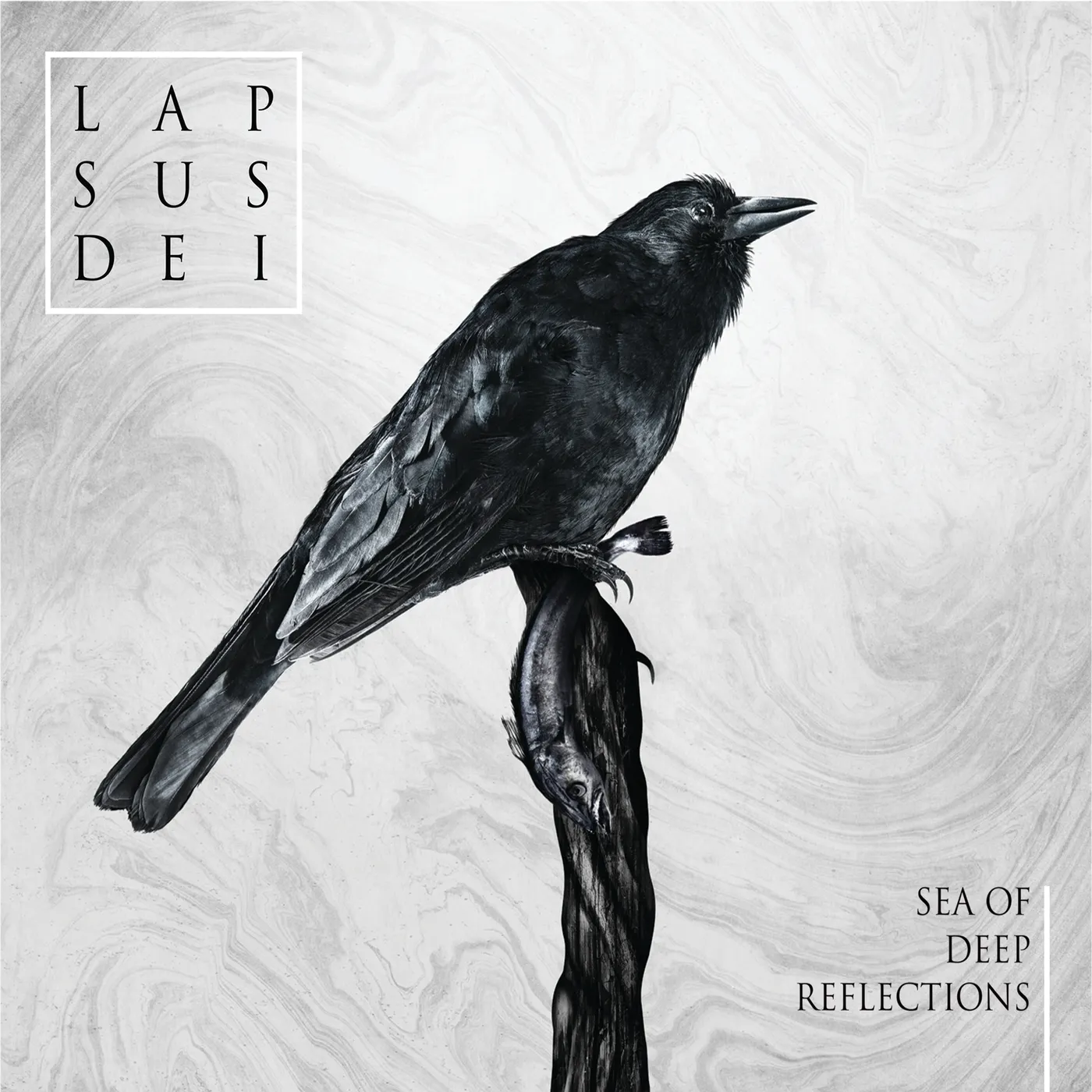 Lapsus Dei SEA OF DEEP REFLECTIONS CD