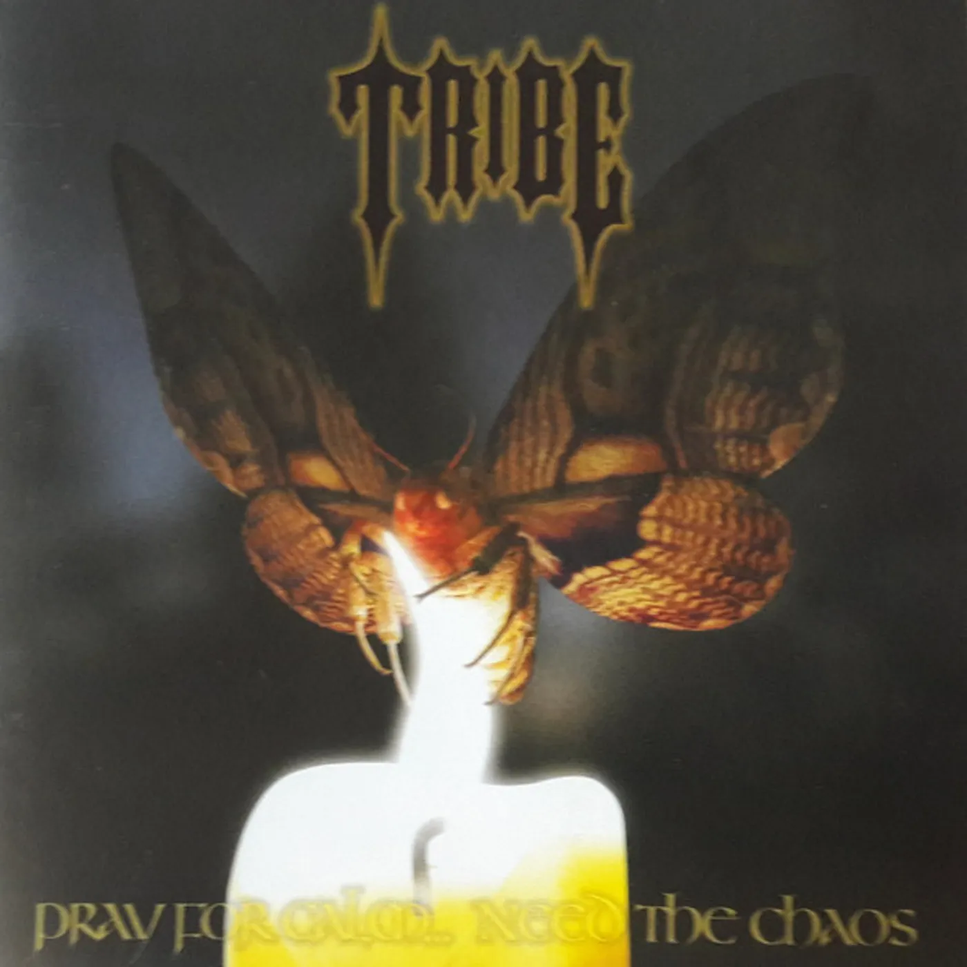 Tribe   Pray For Calm  Need The Chaos CD