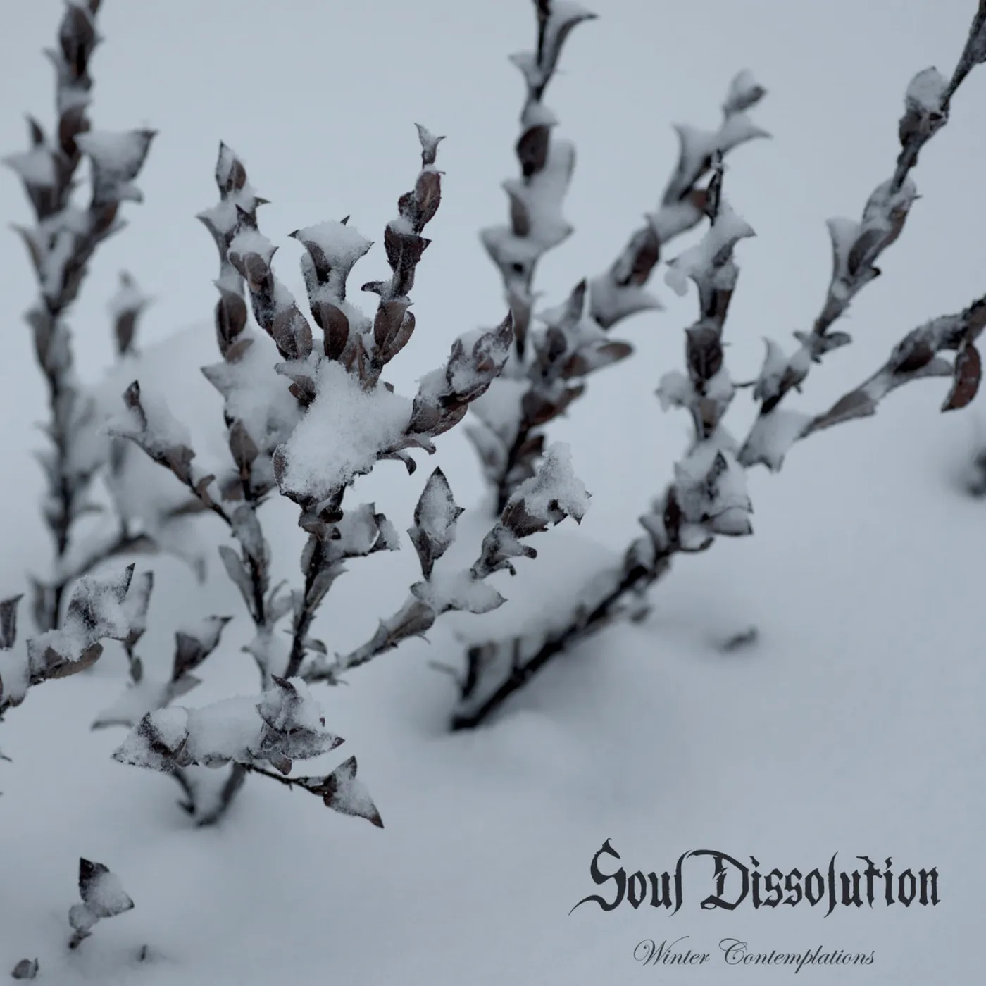 Soul Dissolution Winter Contemplations Vinyl Record