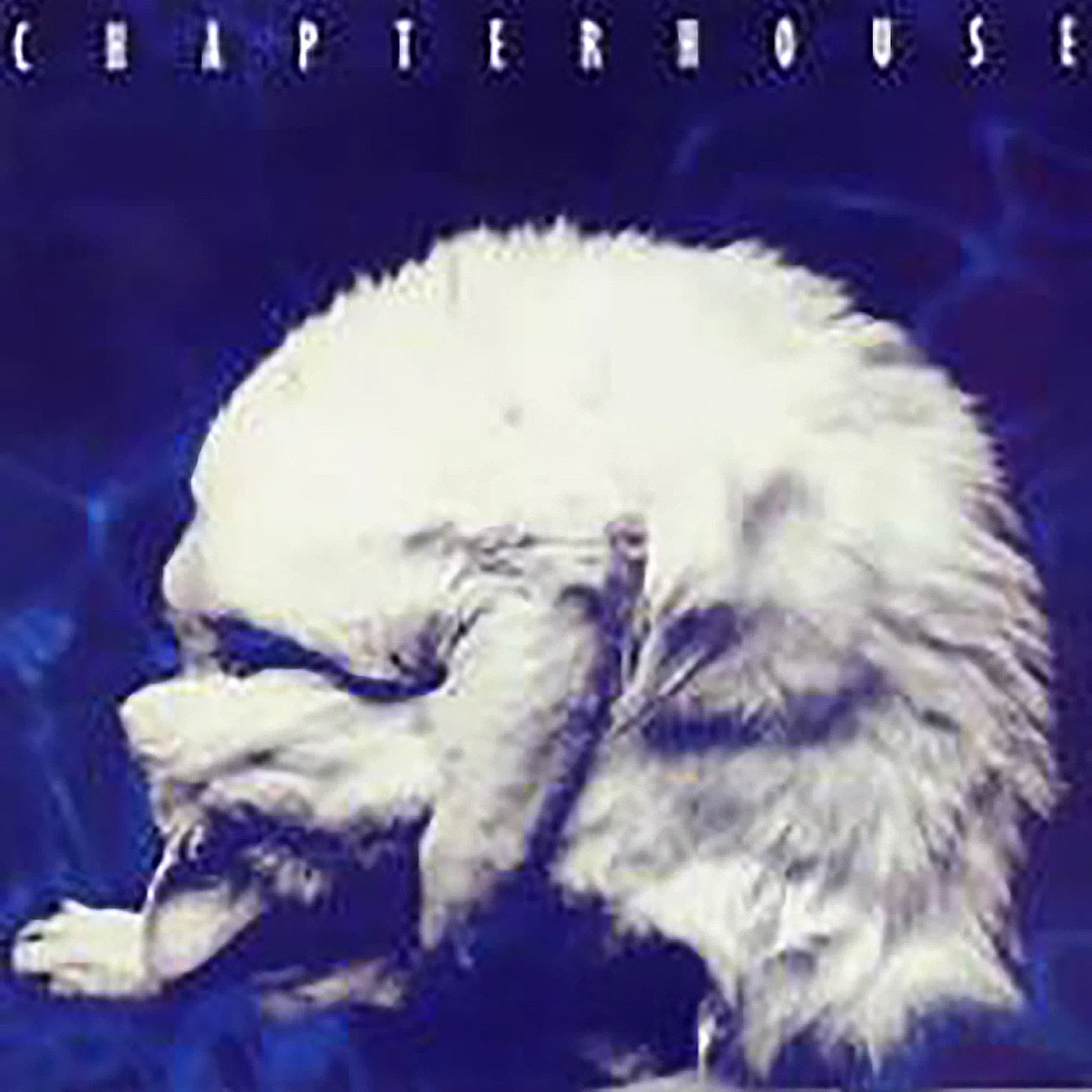 Chapterhouse   Whirlpool Expanded Editio CD