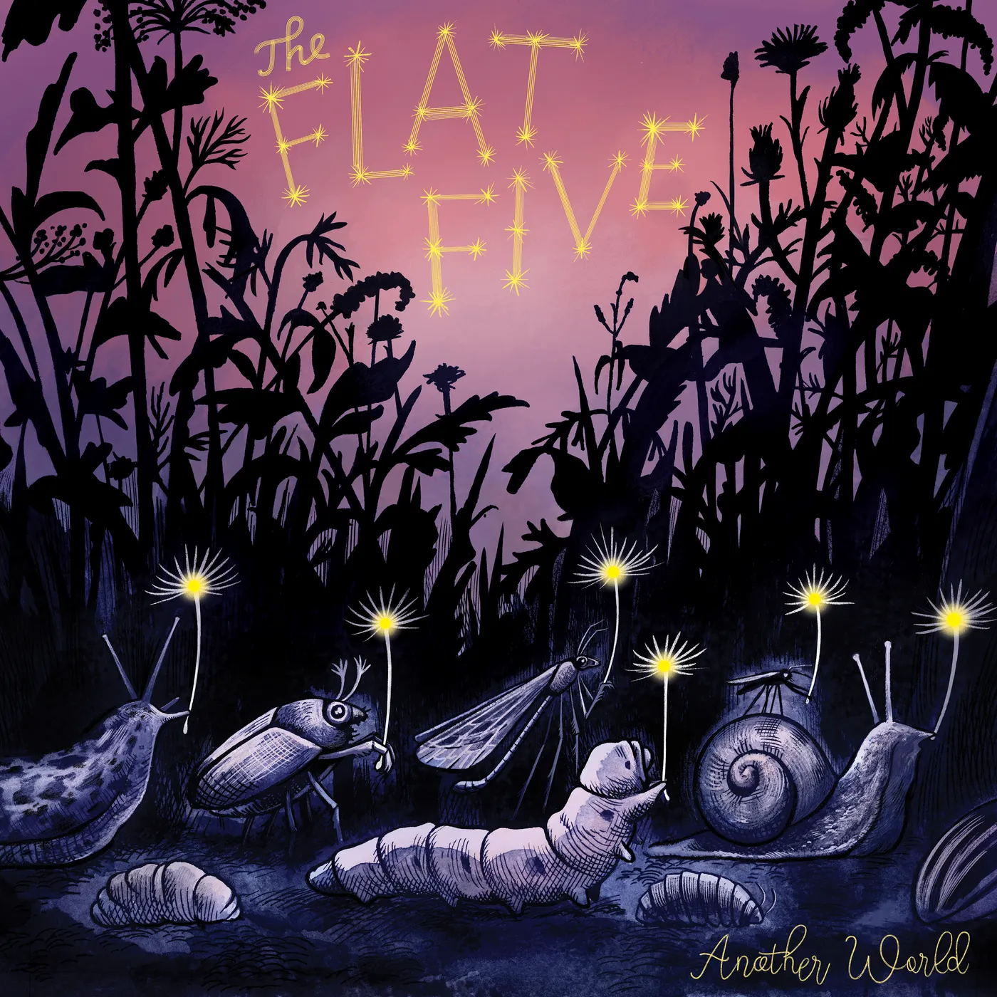 The Flat Five Another World Vinyl Record
