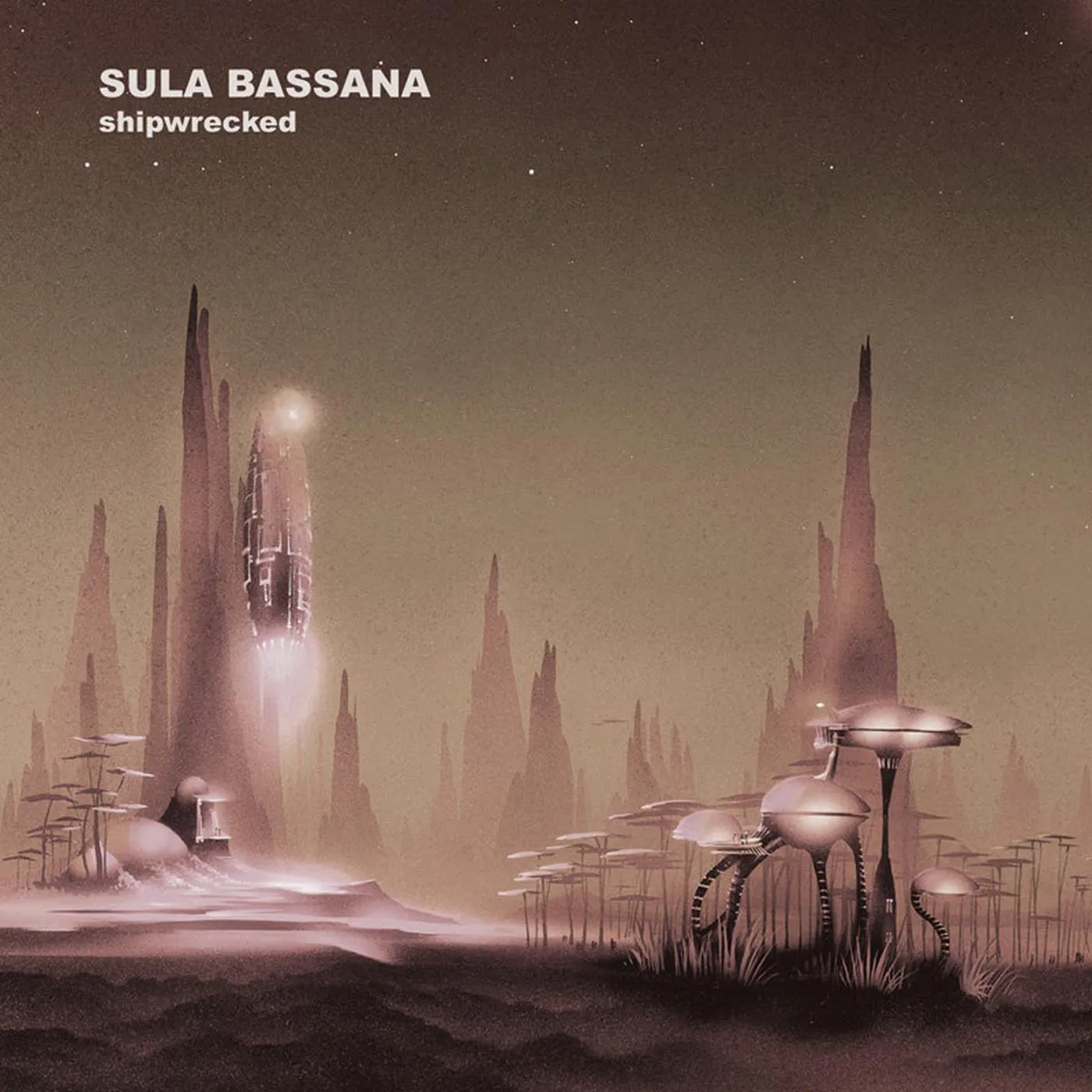 Sula Bassana   Shipwrecked Vinyl Record
