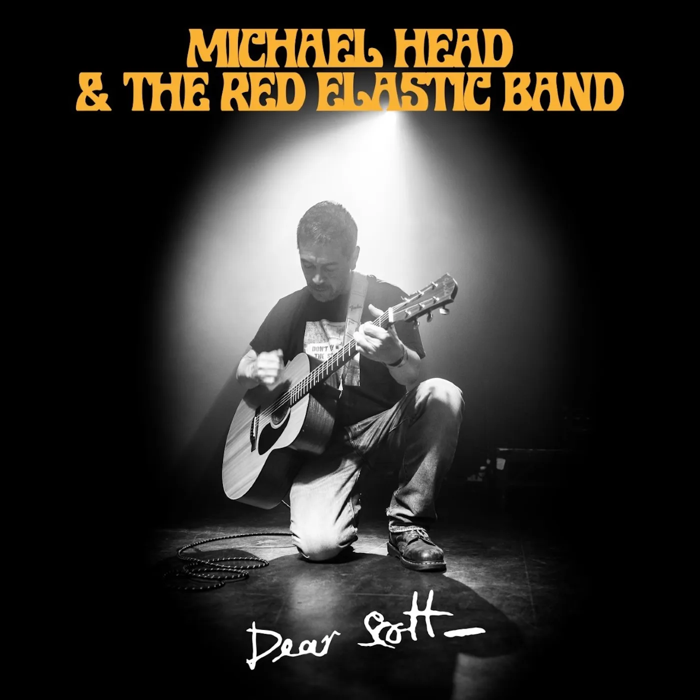 Michael Head & The Red Elastic Band   De Vinyl Record