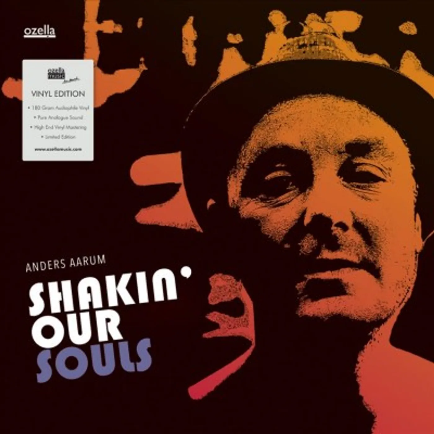 Anders Aarum Shakin' Our Souls Vinyl Record