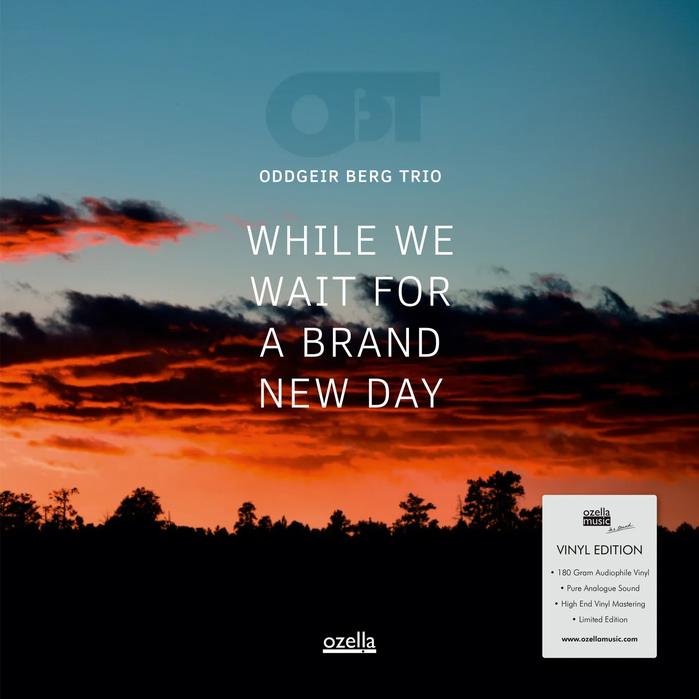 Oddgeir Berg Trio   While We Wait For A Vinyl Record