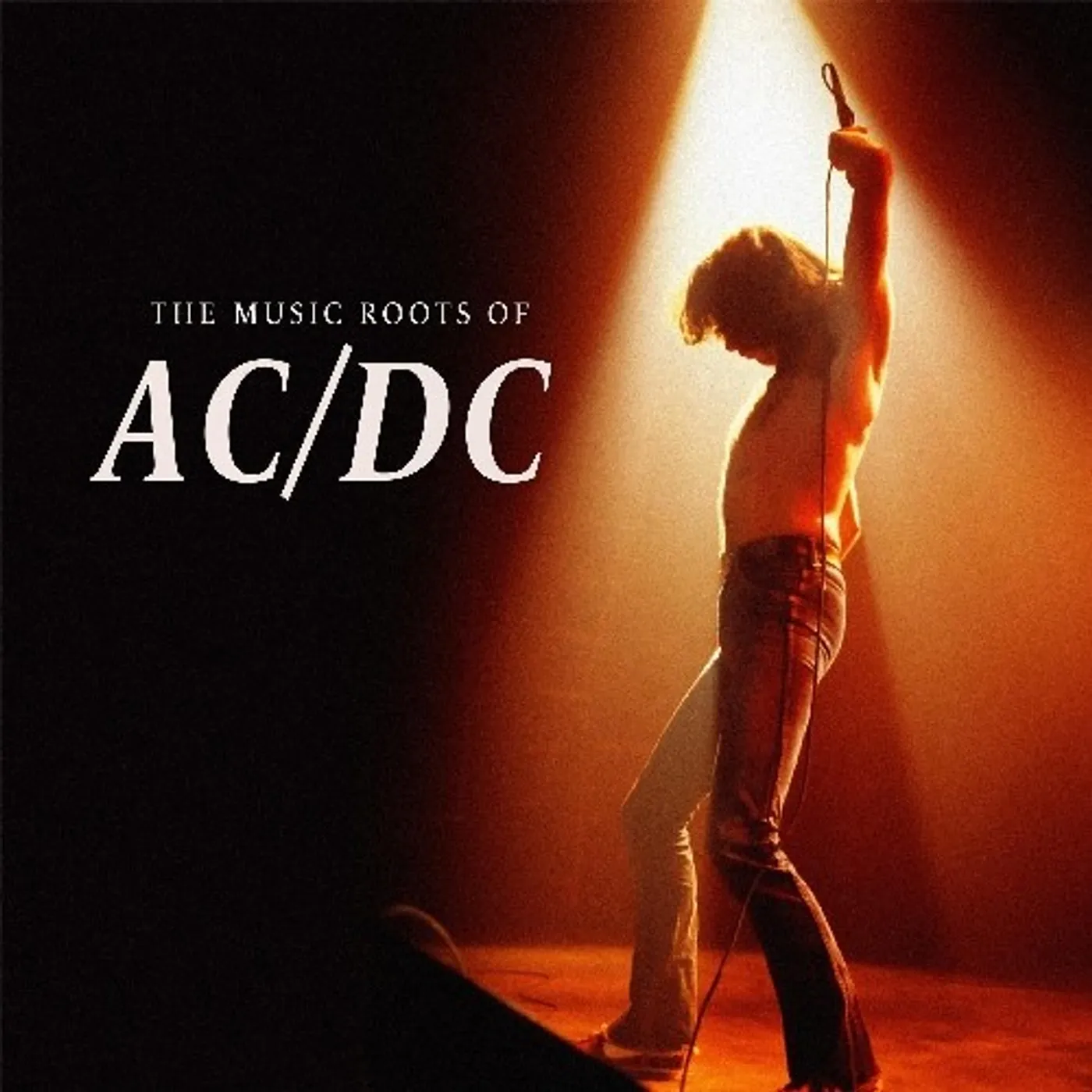 AC/DC The Music Roots Of Vinyl Record