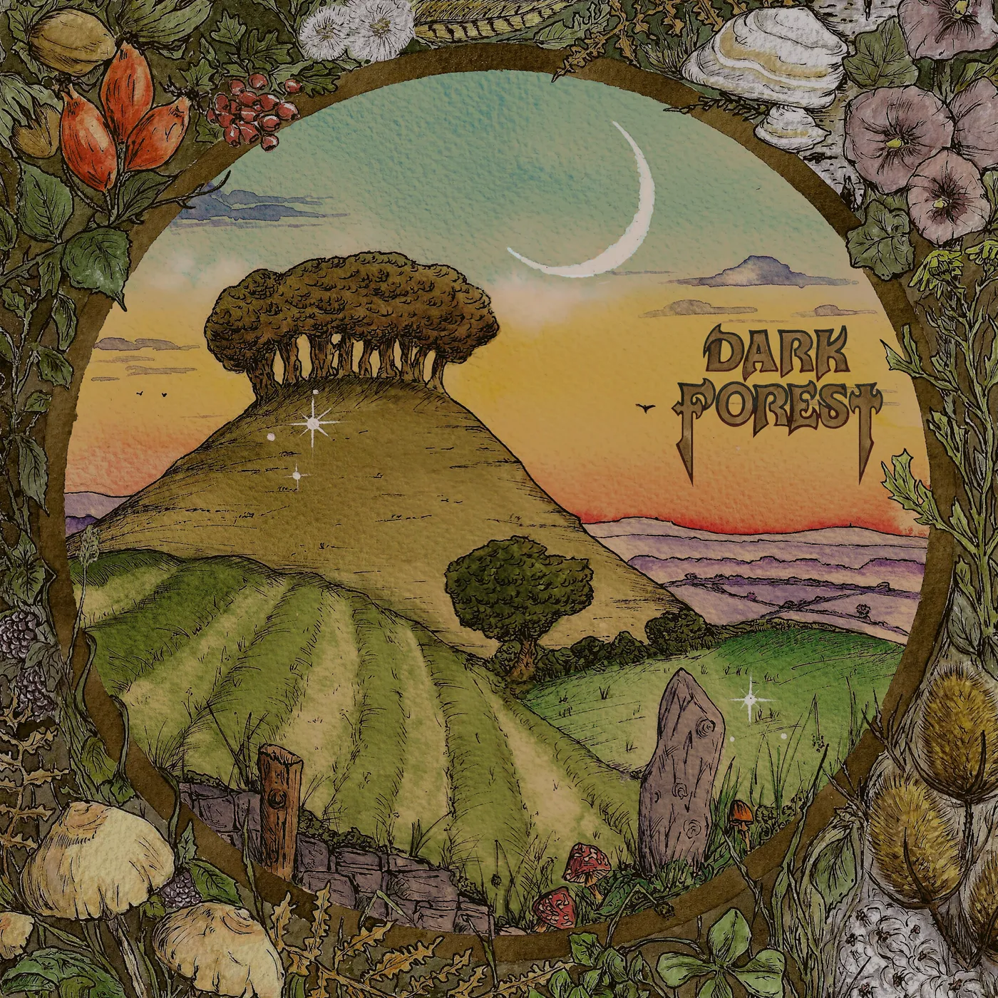 Dark Forest   Ridge & Furrow Vinyl Record