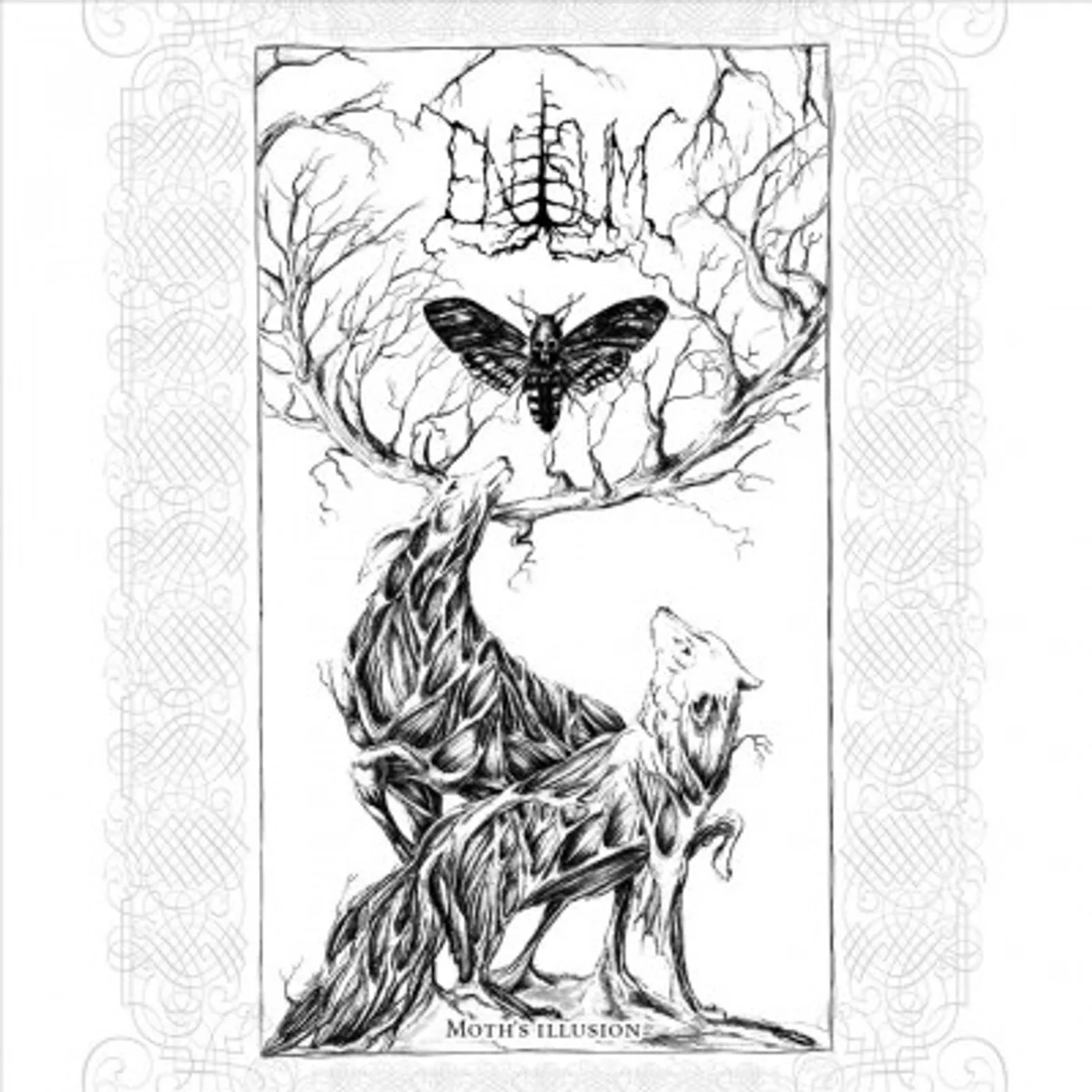Enisum Moth's Illusion Vinyl Record
