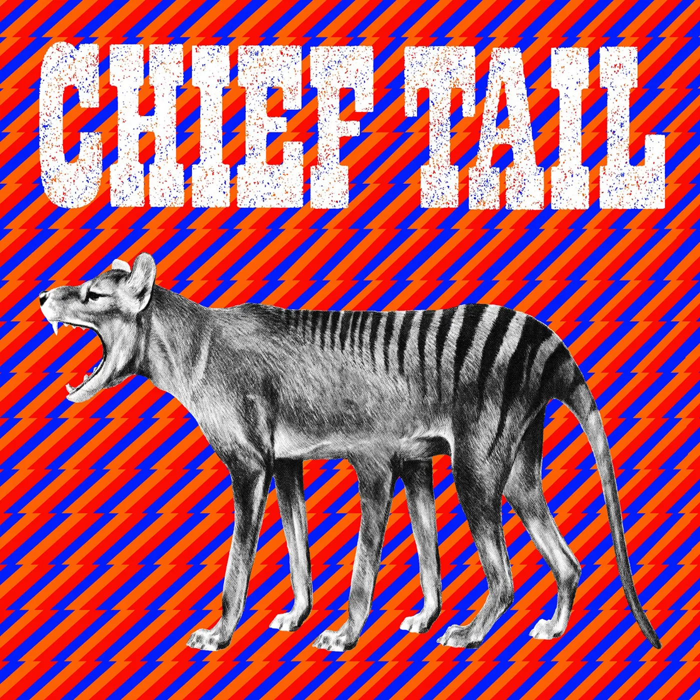 Chief Tail Vinyl Record