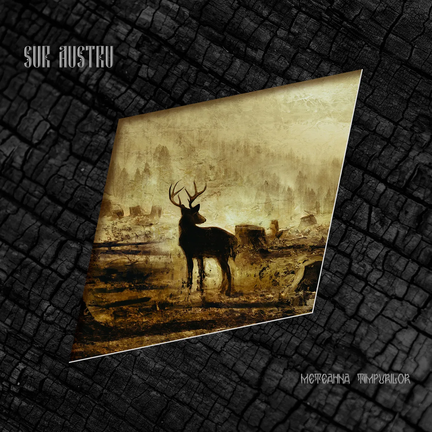 Sur Austru Meteahna Timpurilor Vinyl Record
