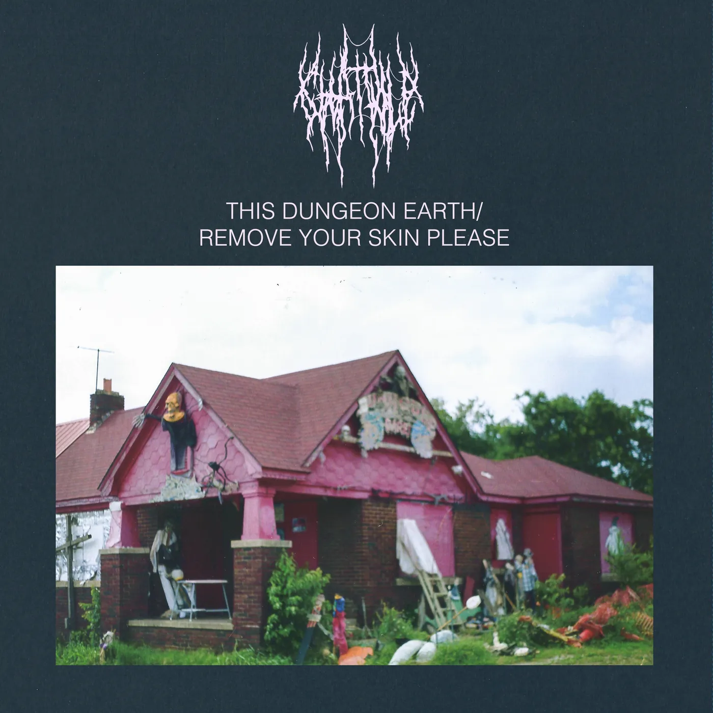 Chat Pile This Dungeon Earth / Remove Your Skin Please Vinyl Record