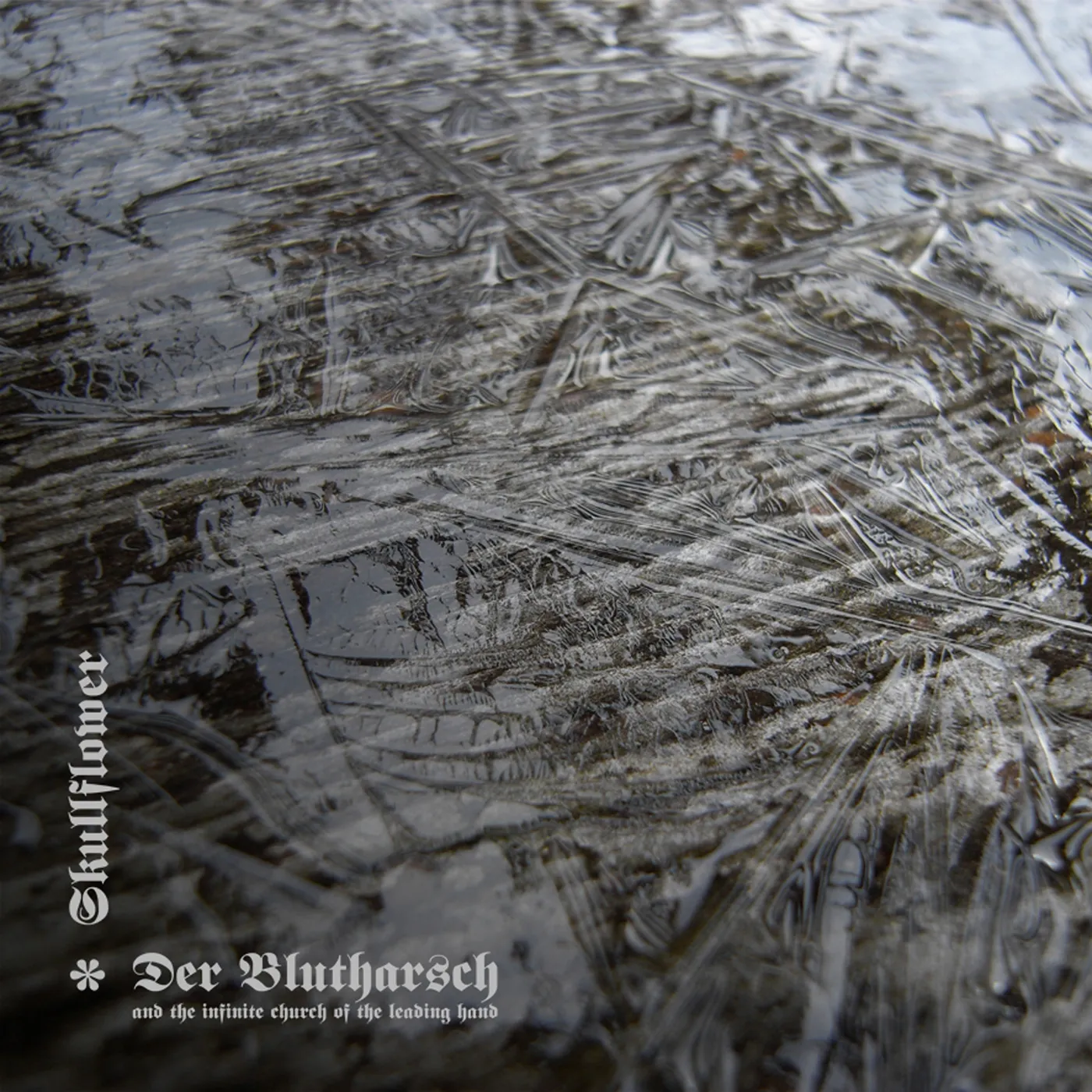 Der Blutharsch and the Infinite Church of the Leading Hand COLLABORATION Vinyl Record