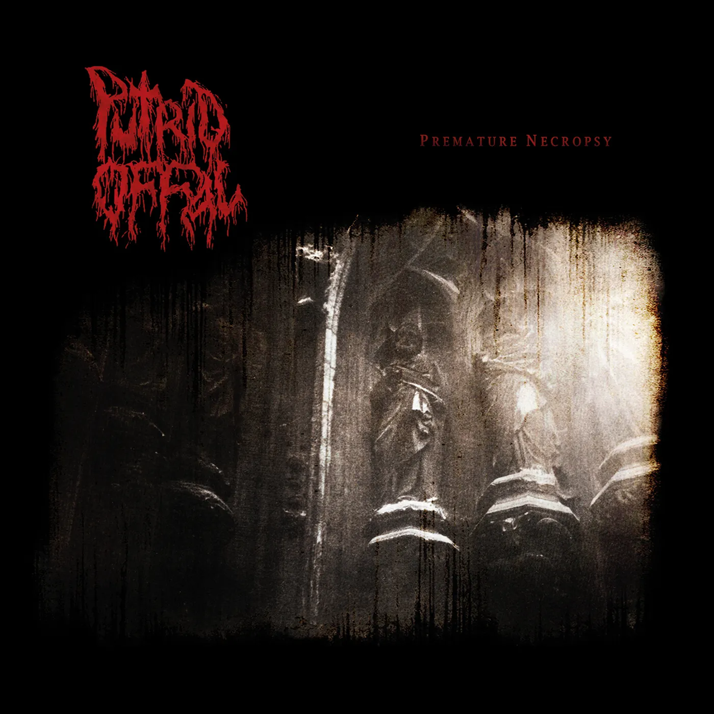 Putrid Offal Premature Necropsy: The Carnage Continue Vinyl Record