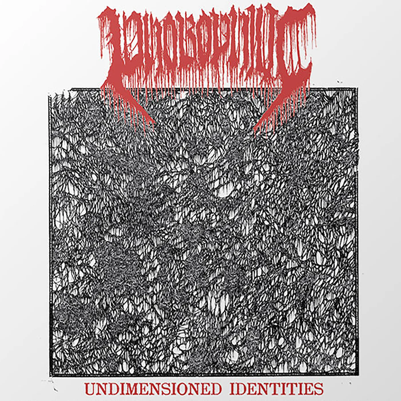 Phobophilic Undimensioned Identities Vinyl Record