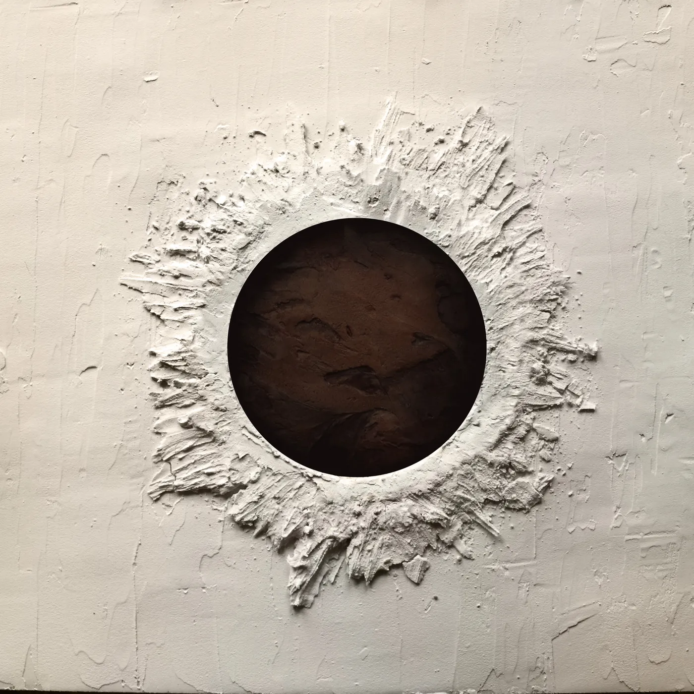 Kill Shelter Asylum Vinyl Record