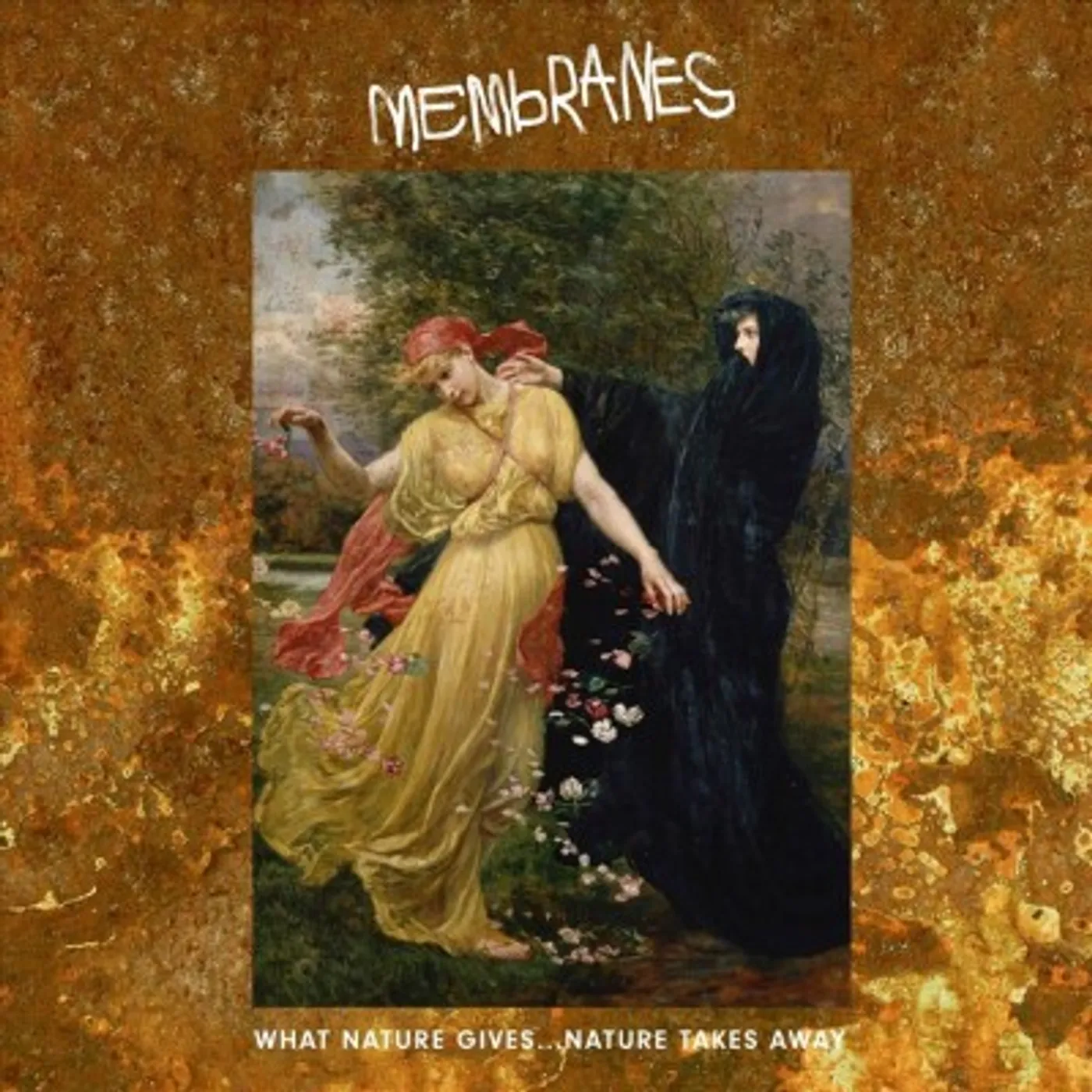 The Membranes What Nature Gives Nature Takes Away Vinyl Record