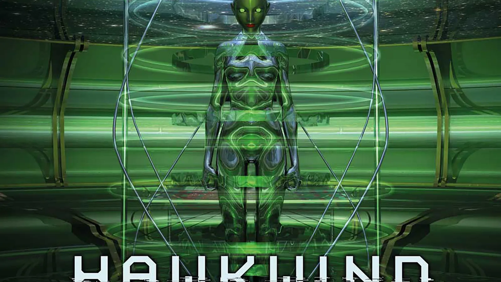 Hawkwind We Are Looking In On You Too: Vinyl Record
