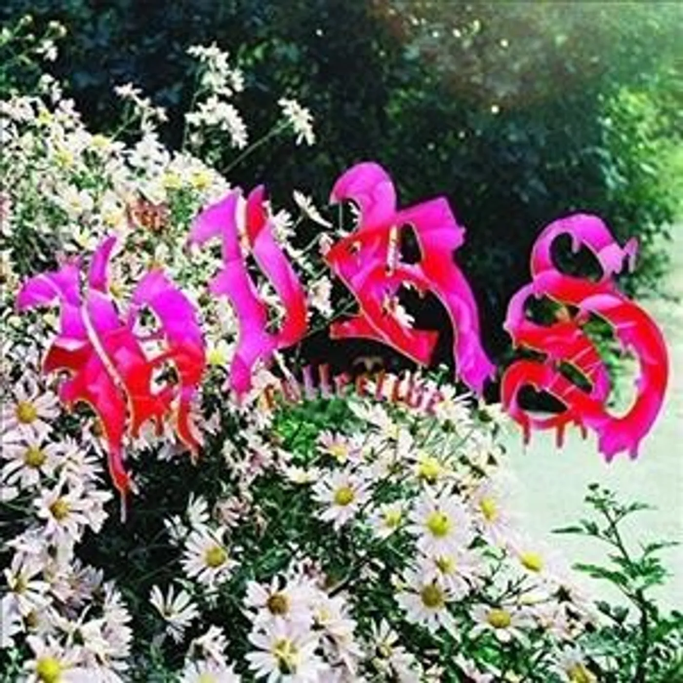 The Hirs Collective Friends. Lovers. Favorites. Vinyl Record