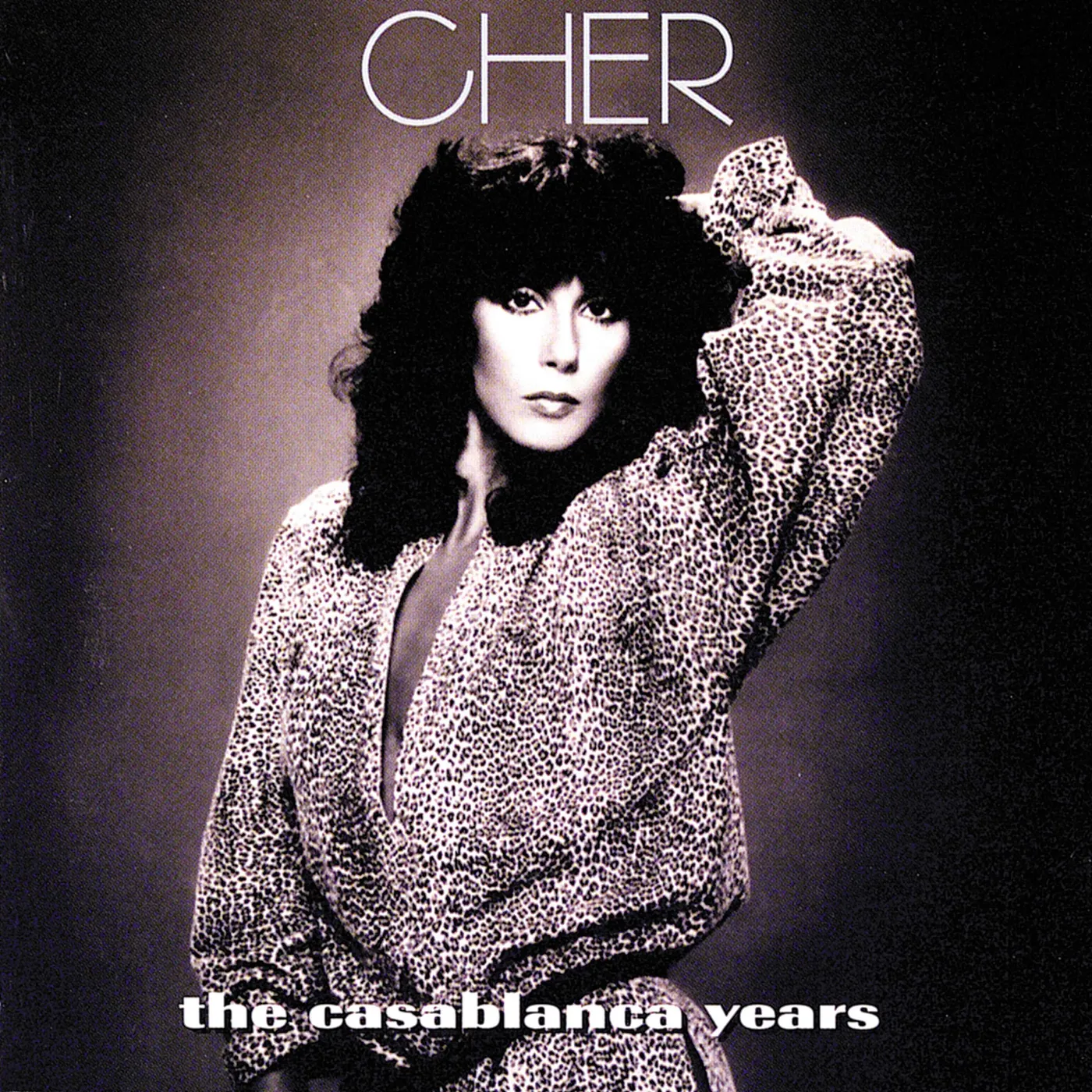 Cher CASABLANCA YEARS (7 CD) CD