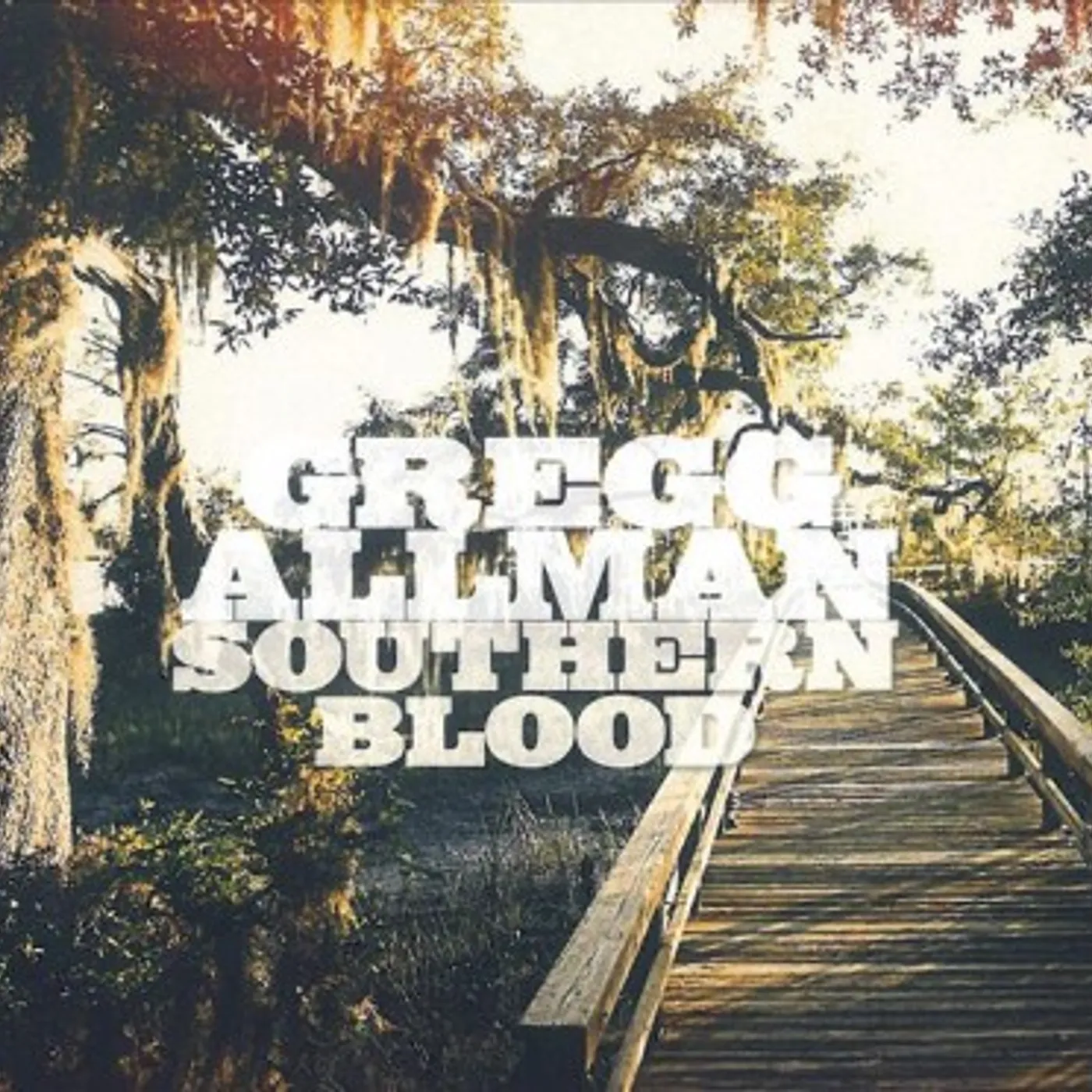 Gregg Allman SOUTHERN BLOOD (DELUXE EDITION / CD/DVD) CD