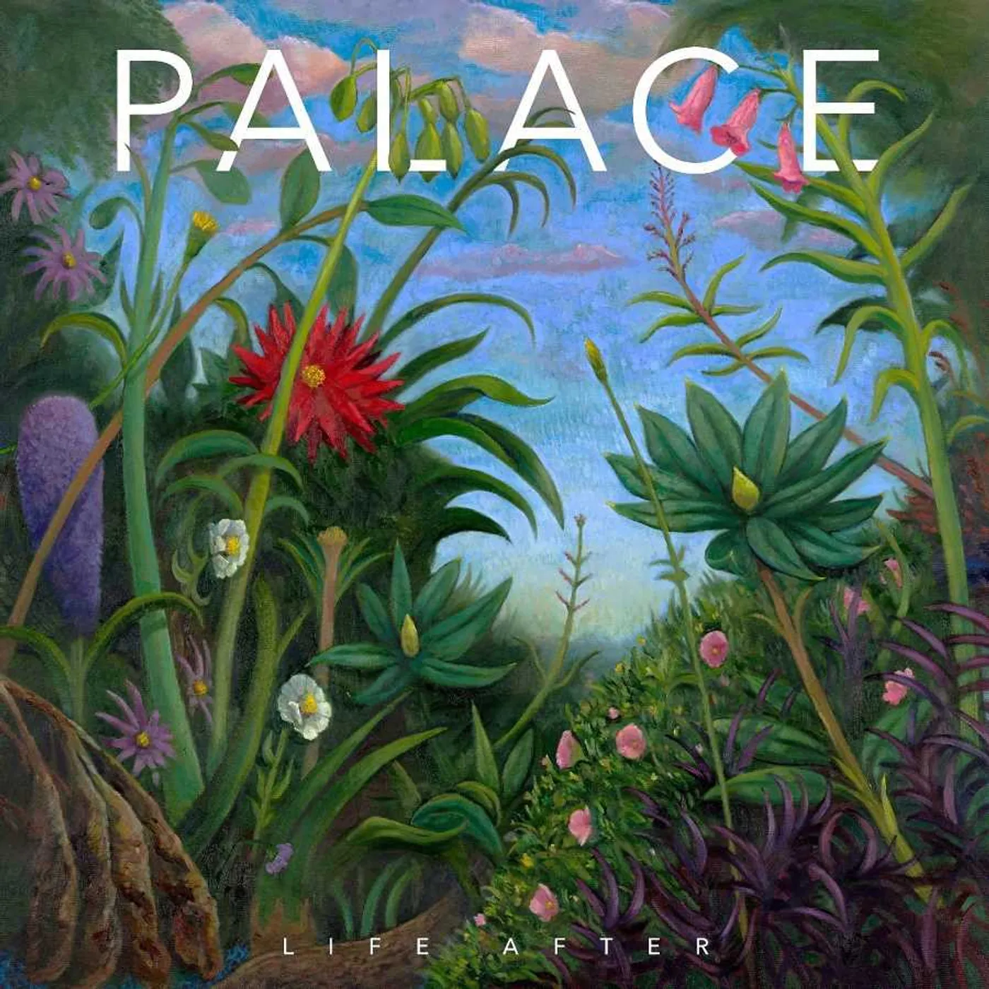 Palace LIFE AFTER CD