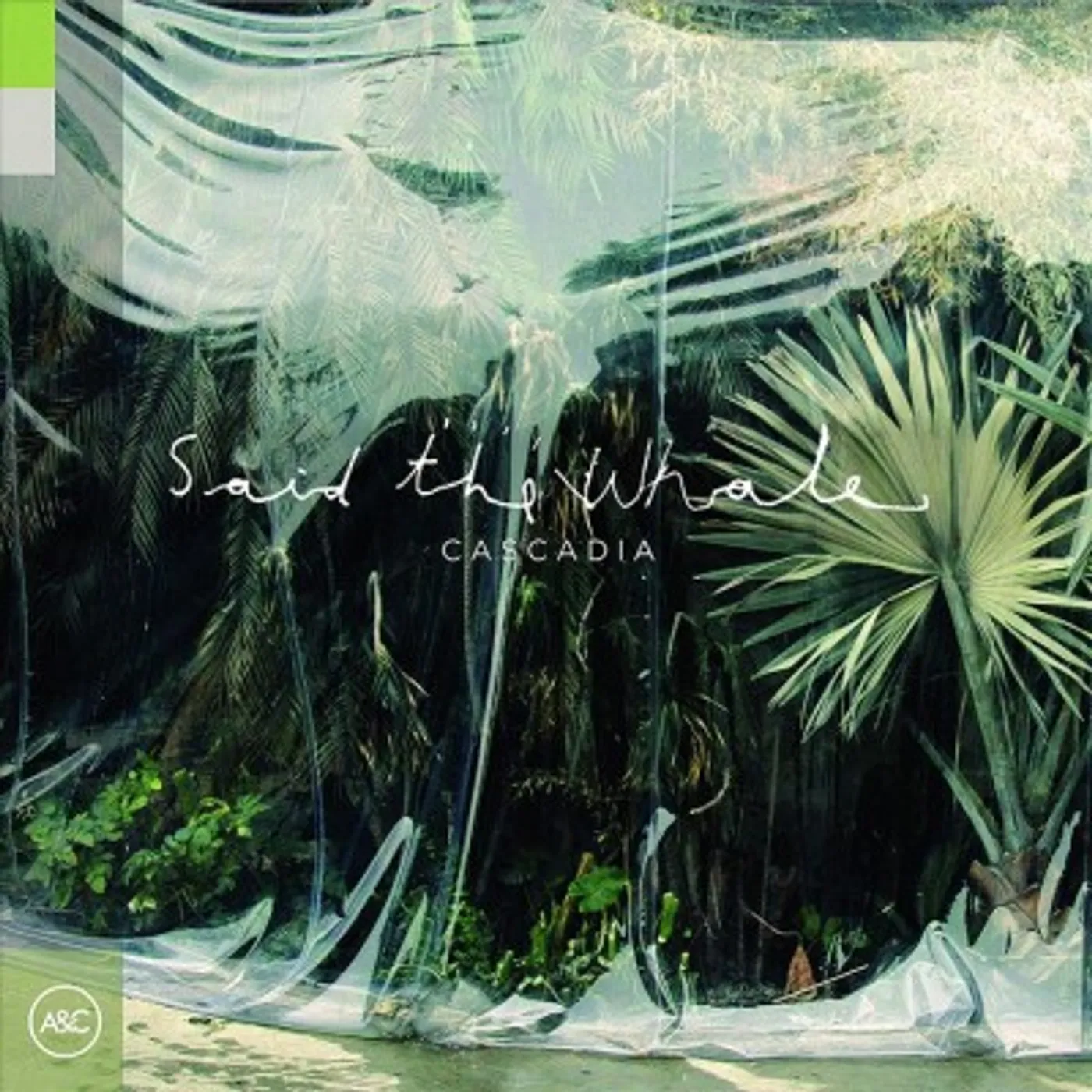 Said The Whale CASCADIA CD