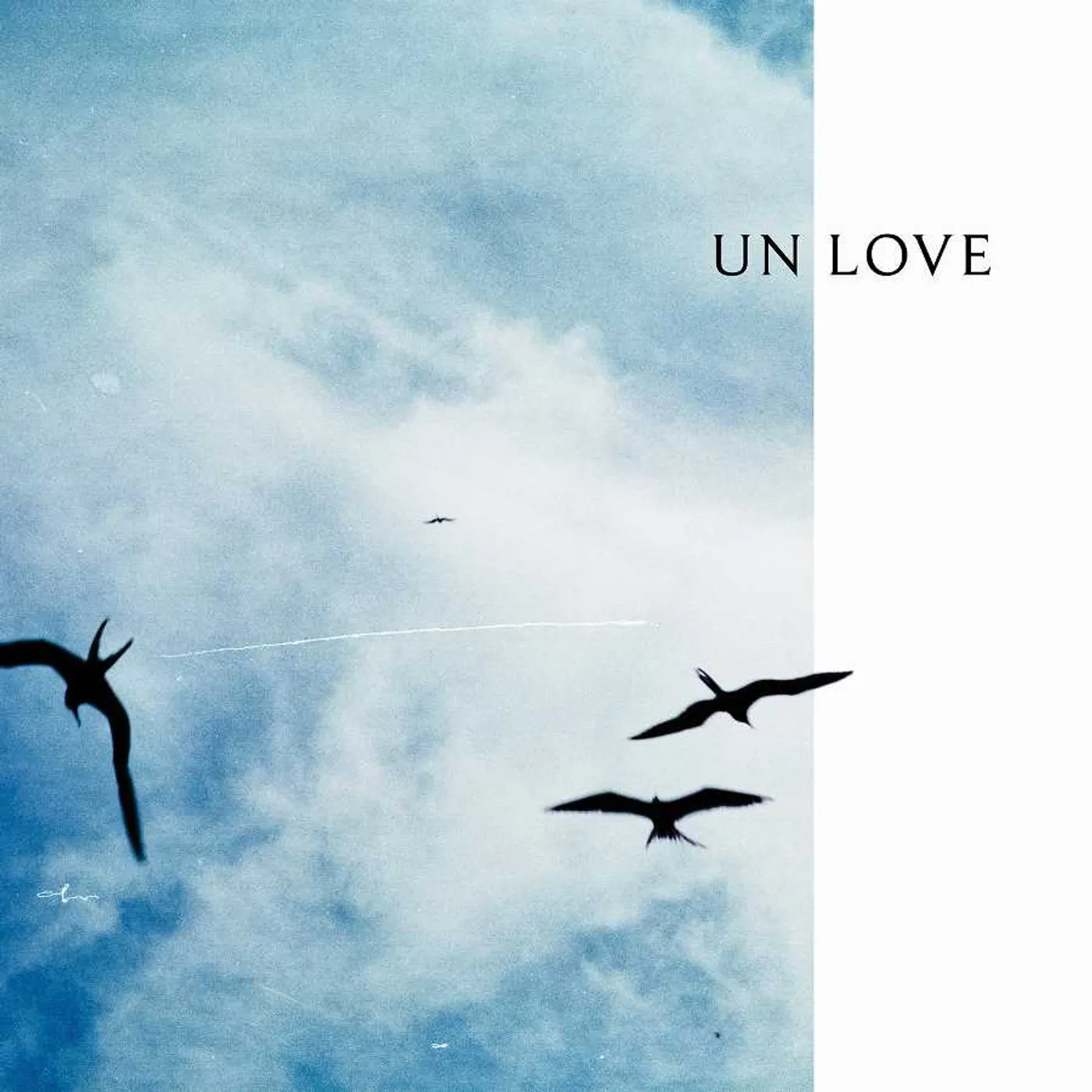 Reuben And The Dark UN LOVE CD