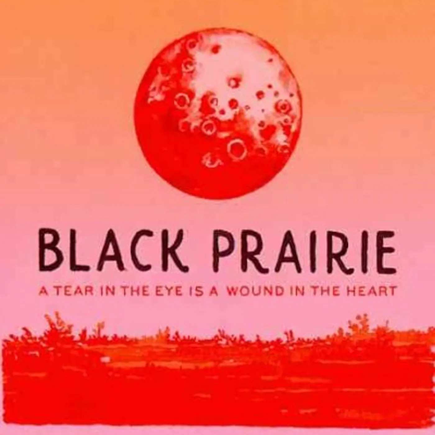Black Prairie A Tear In The Eye Is A Wound.. CD