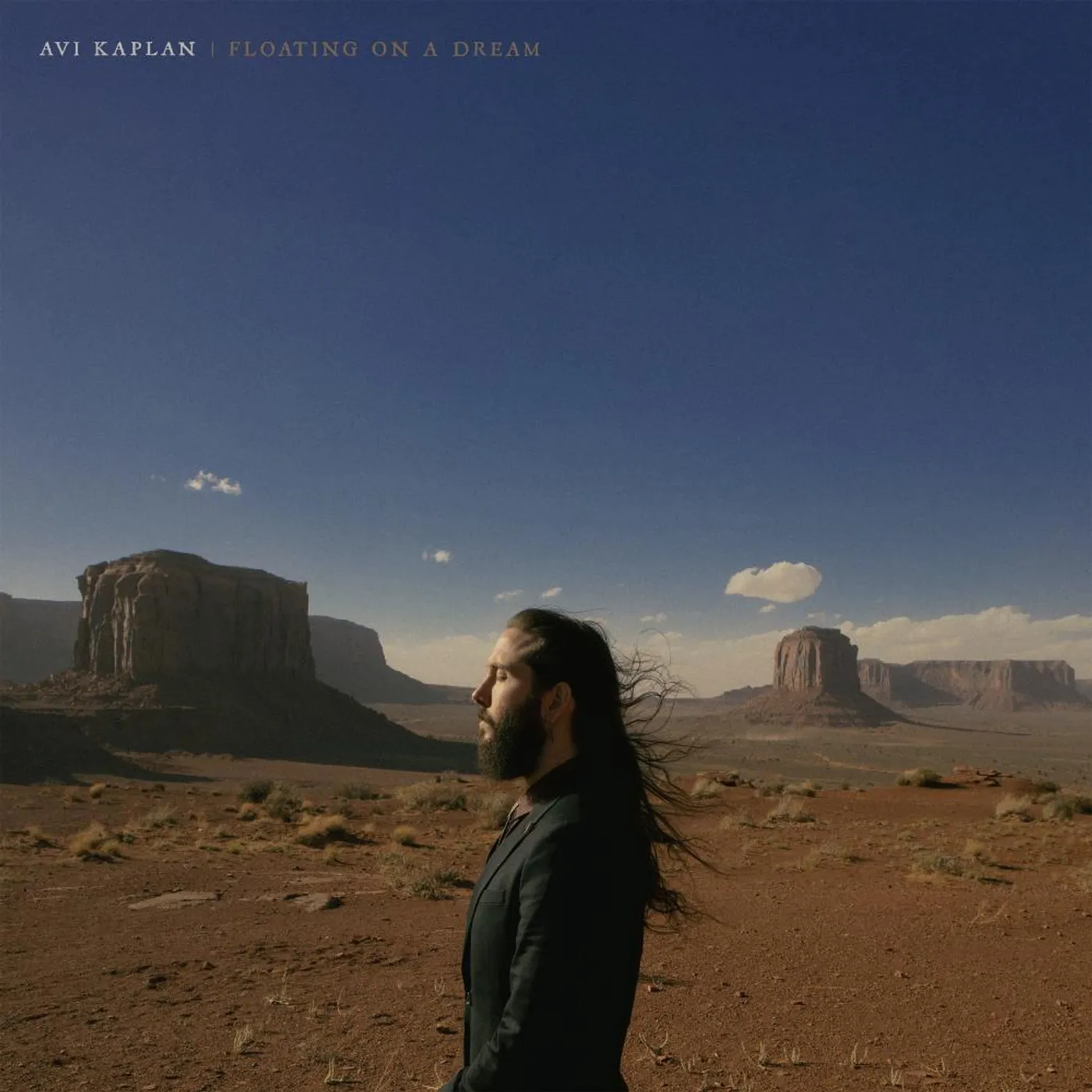Avi Kaplan FLOATING ON A DREAM CD