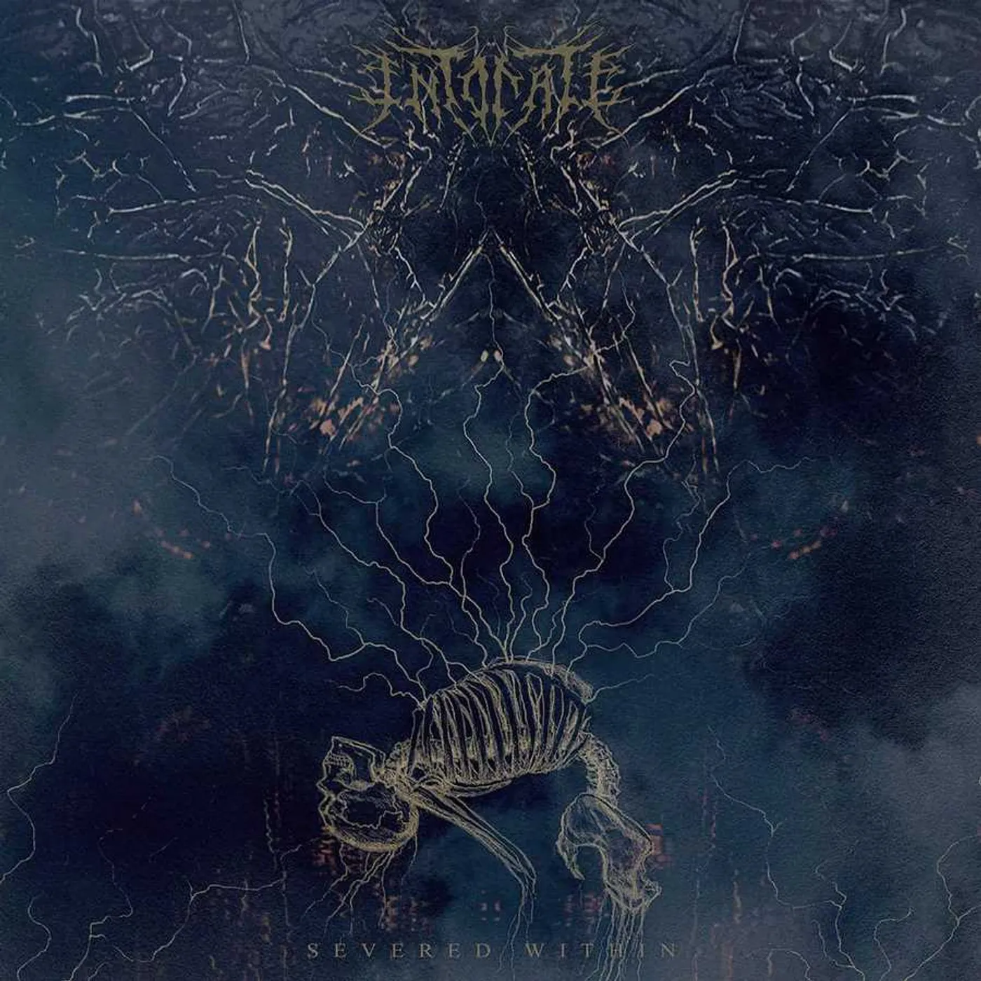Intonate SEVERED WITHIN CD